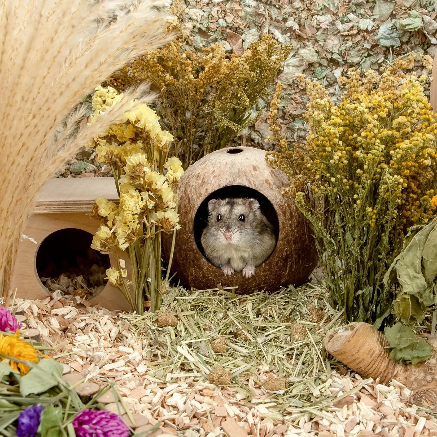 andwe Coconut Hut Hamster House Bed for Gerbils Mice Small Animal Cage
