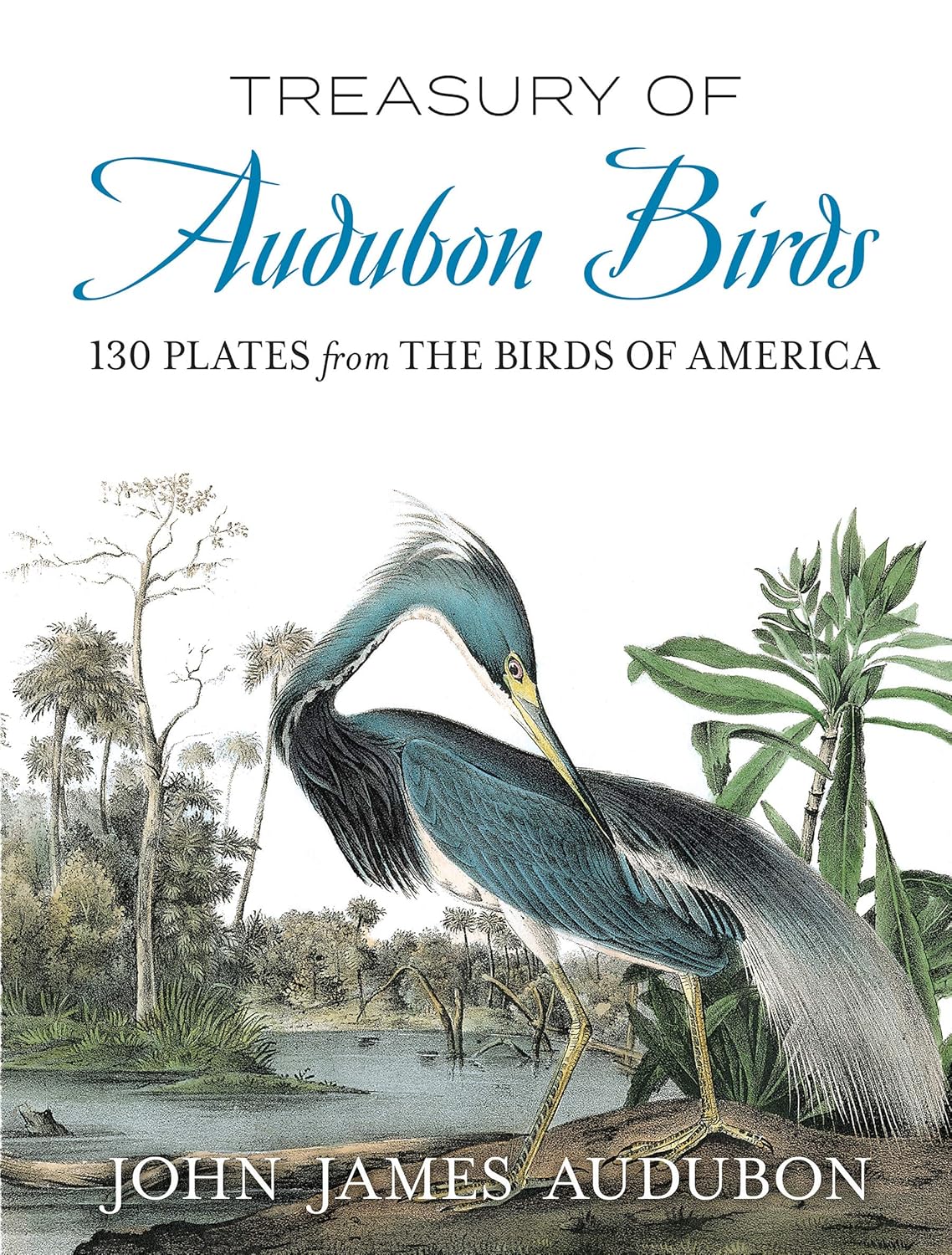 Treasury of Audubon Birds: 130 Plates from The Birds of America