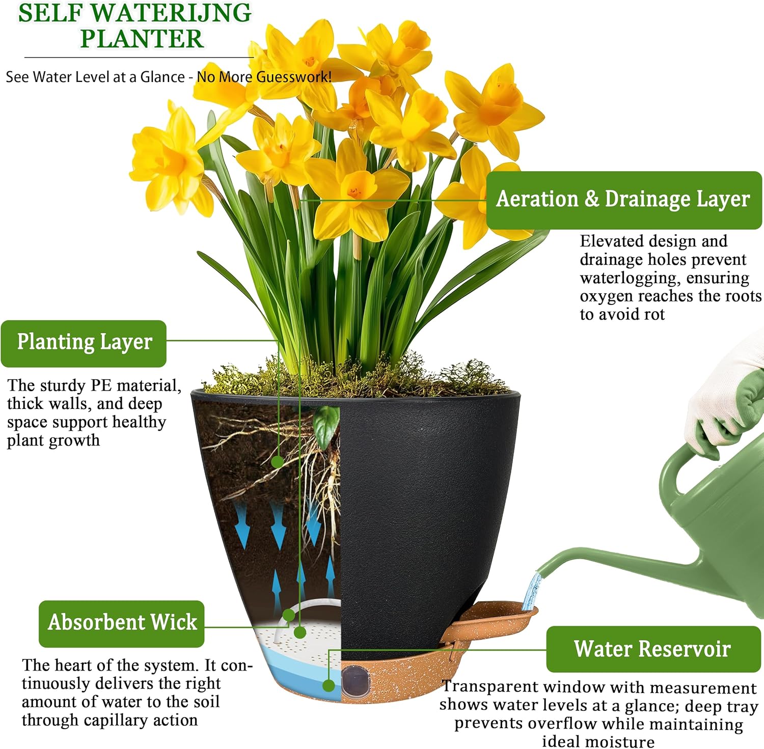 6 Inch Self Watering Pots for Indoor Plants (5-Pack) – Small Plastic P