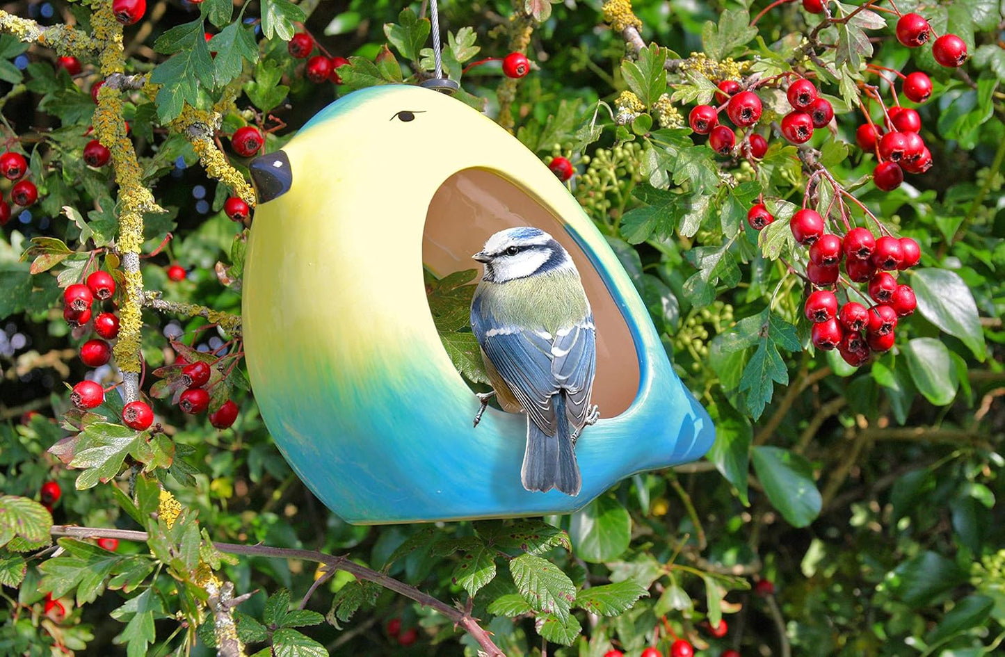 Ceramic Colourful Blue Tit Wild Bird Feeder Seed & Nut Anti Frost