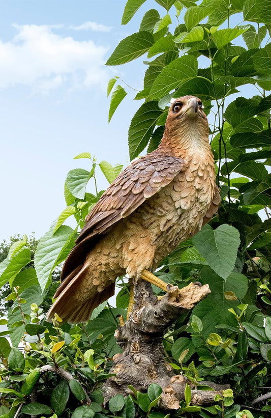 Hi-Line Gift Ltd Wild Hawk Standing on Branch Garden Statue
