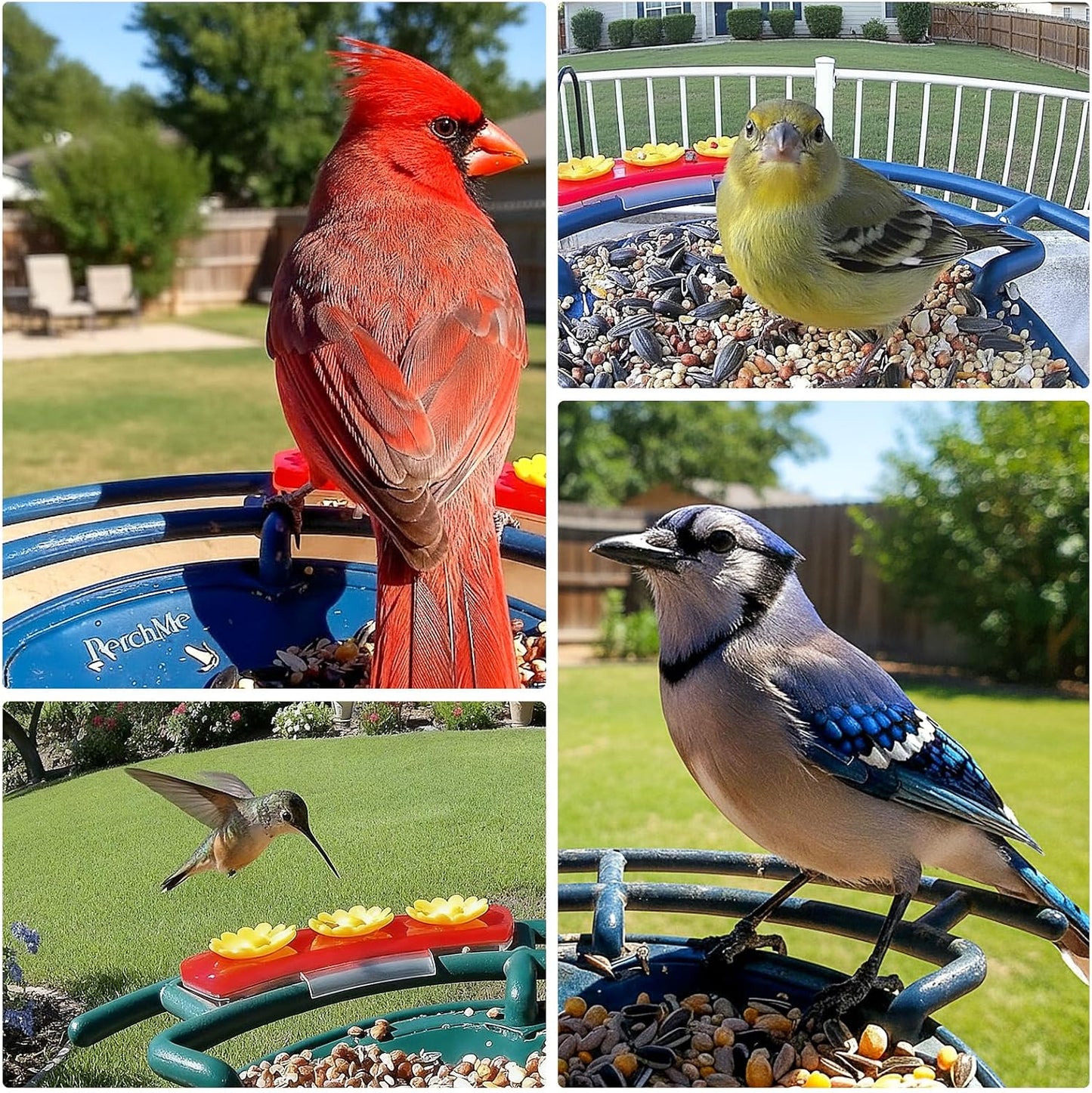 PerchMe® Smart Bird Feeder with Camera, Solar Powered Bird Watching Camera for Outside, 2K HD Auto Capture Motion Detection with AI Identify, DIY Add-ons & Seed Scoop, A Ideal Gift