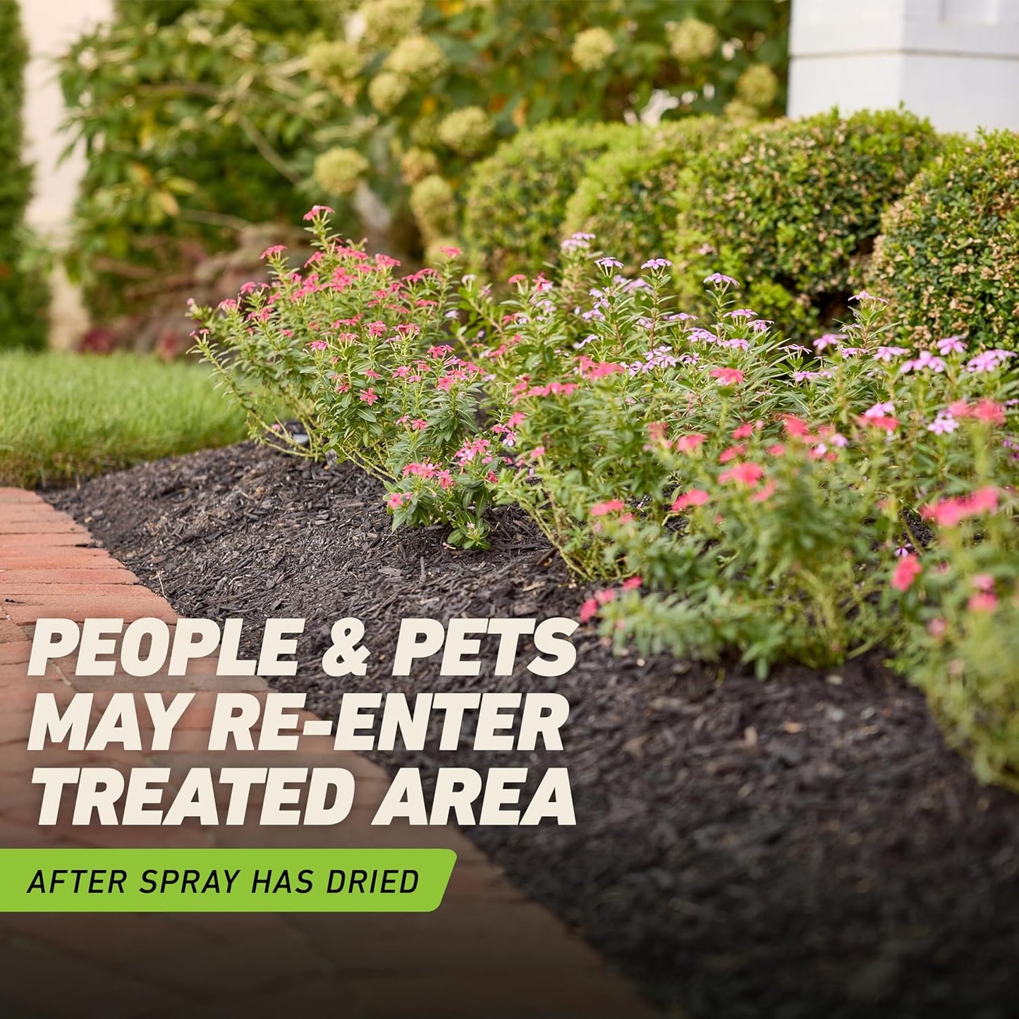 Ortho GroundClear Weed & Grass Killer with Comfort Wand - Kills Dandel