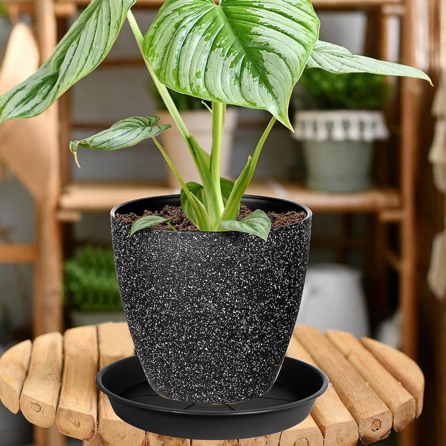 6 Pack of Plant Saucer Tray 11 12 inch, Heavy Duty Plastic Pot Plant Drip Trays Saucers for Indoors Outdoor, Plant Water Tray for Planters 11-12" (12", Black)