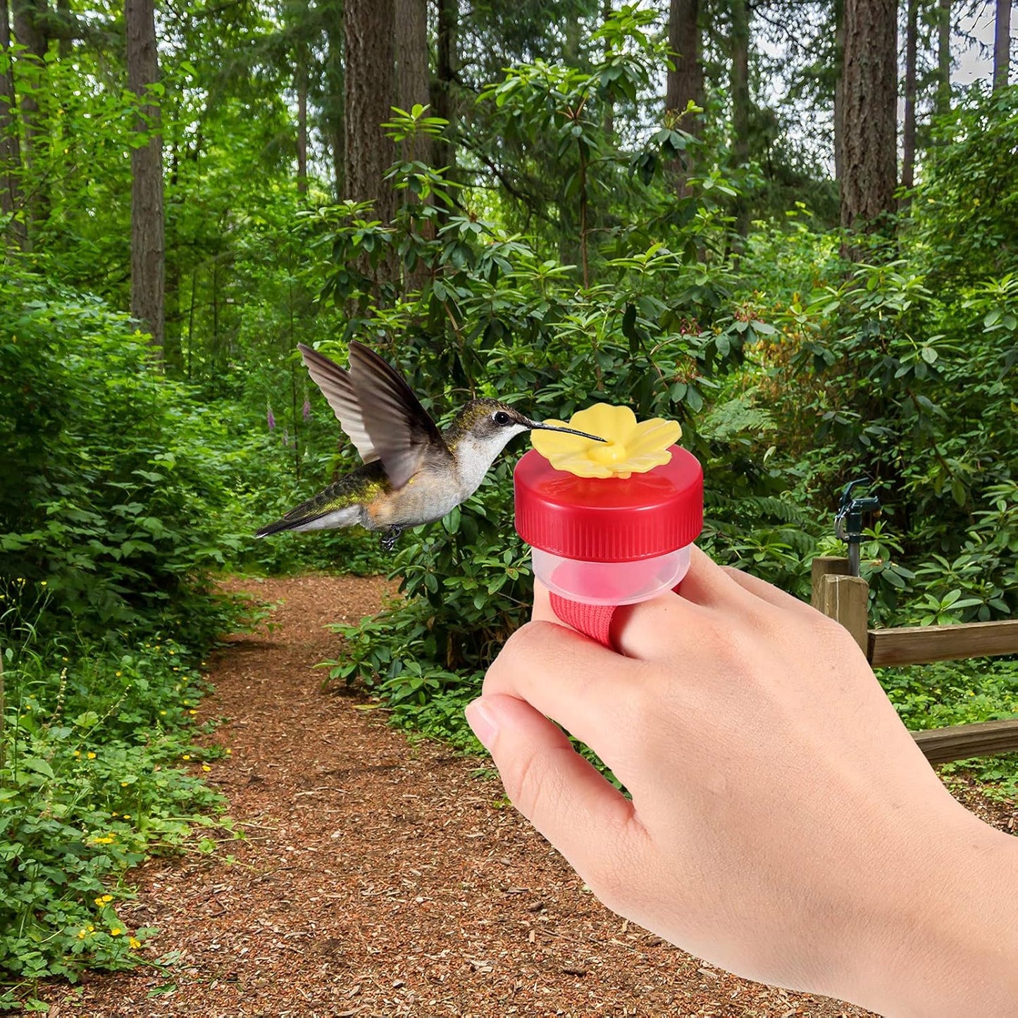 Zopeal 4 Pieces Hummingbird Wrist Feeder for Outdoor Hummingbird Hand Feeder Feeding Perch Feed with Adjustable Strap Flower Held Mini Hand Feeding Tools (Ring and Wrist Style)