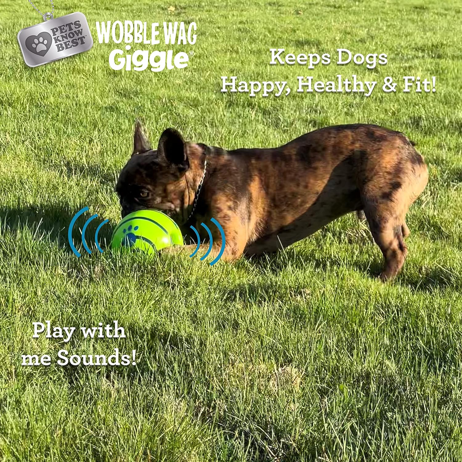 Wobble Wag Giggle Ball | Rolling Enrichment Toy for Fun Playtime, Inte