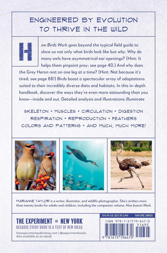 How Birds Work: An Illustrated Guide to the Wonders of Form and Function―from Bones to Beak (How Nature Works)