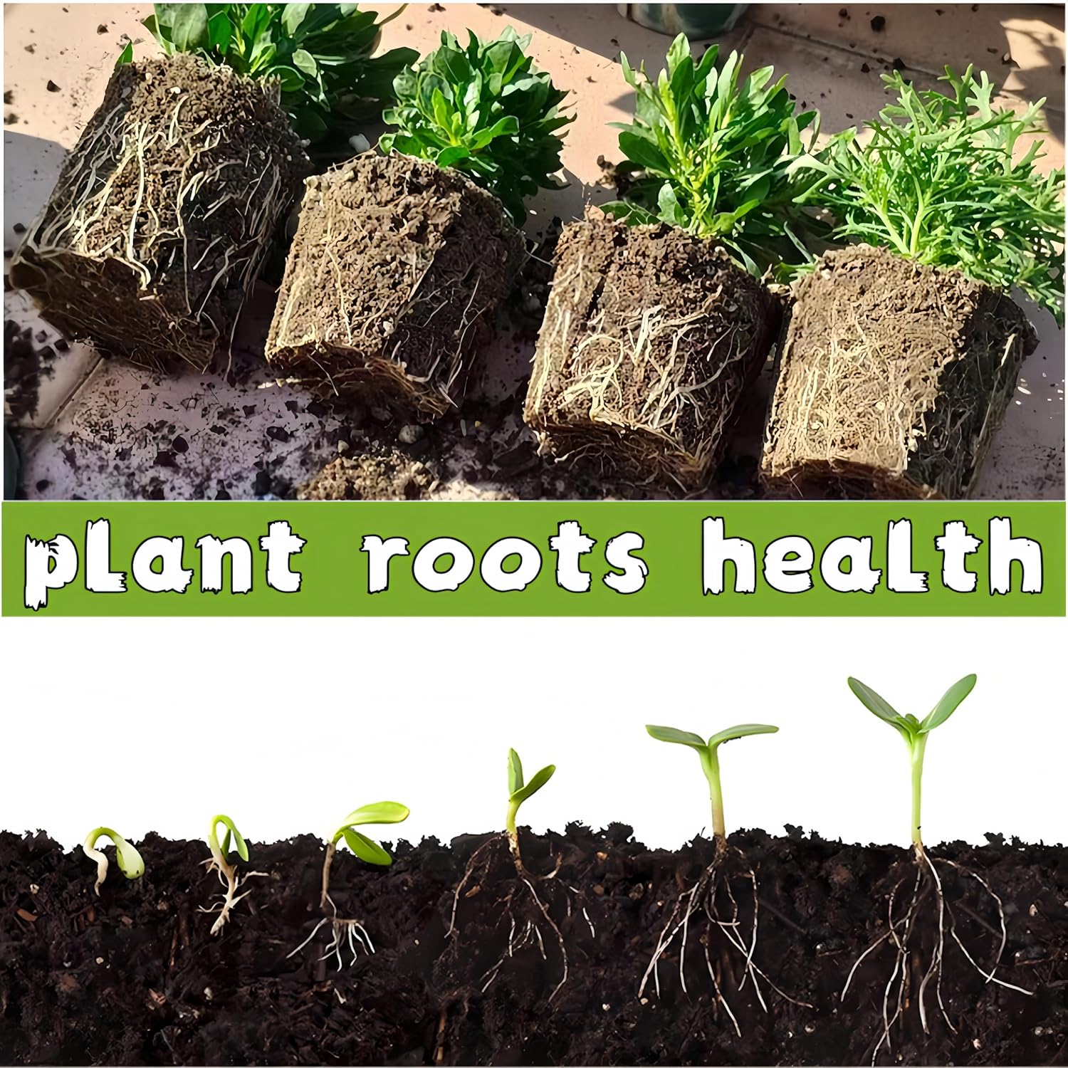 240 Cells Seed Starter Tray 24 Packs Biodegradable Peat Pots Germinati