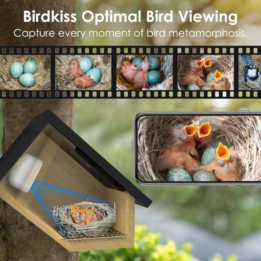 Birdkiss Smart Bird Houses for Outside Solar Powered, 1080P HD Live Vi