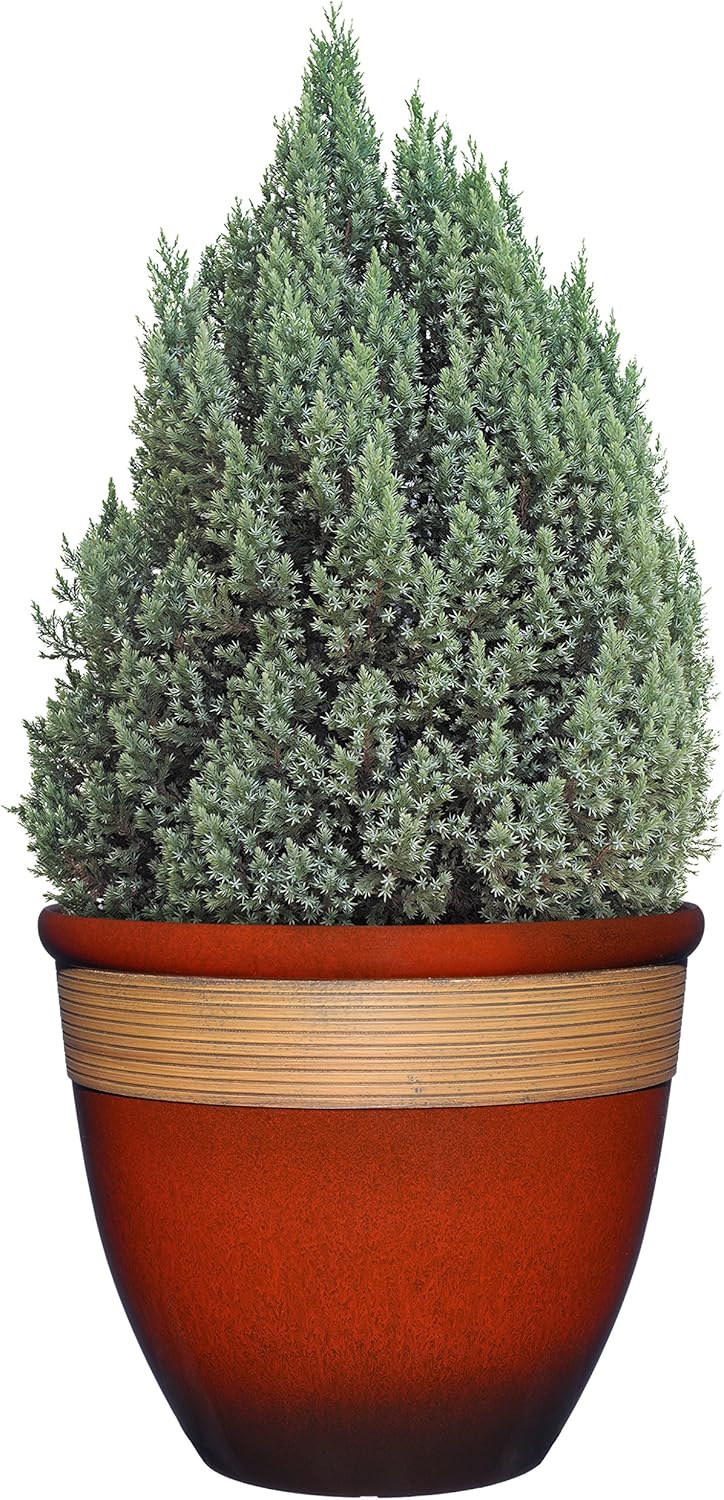 Classic Home and Garden Premiere Collection Planter, Abigail 15", Lava