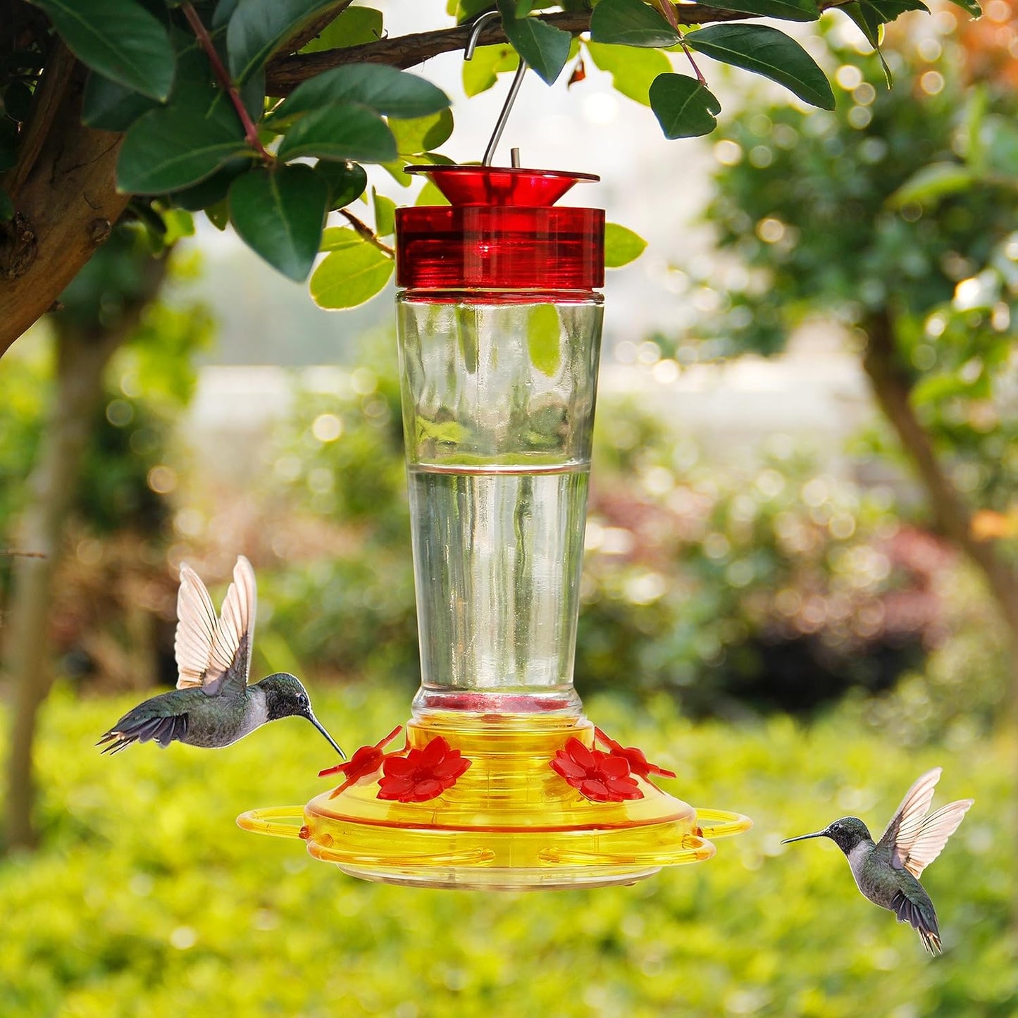 Shrdaepe Hummingbird Feeder, Glass Bottle Bird Feeders, 5 Feeding Port