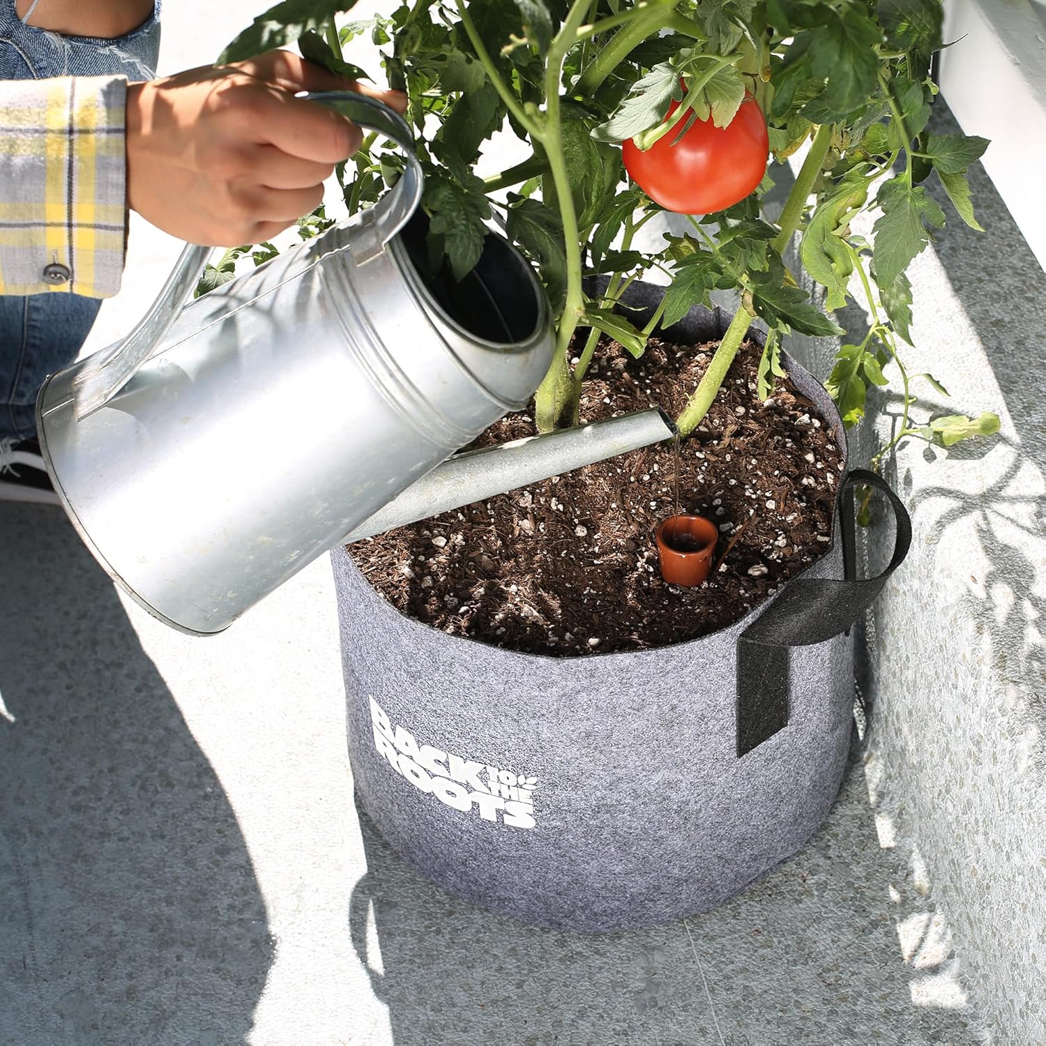 Back to the Roots Self-Watering Terracotta Olla Pot (Pack of 3), 700mL
