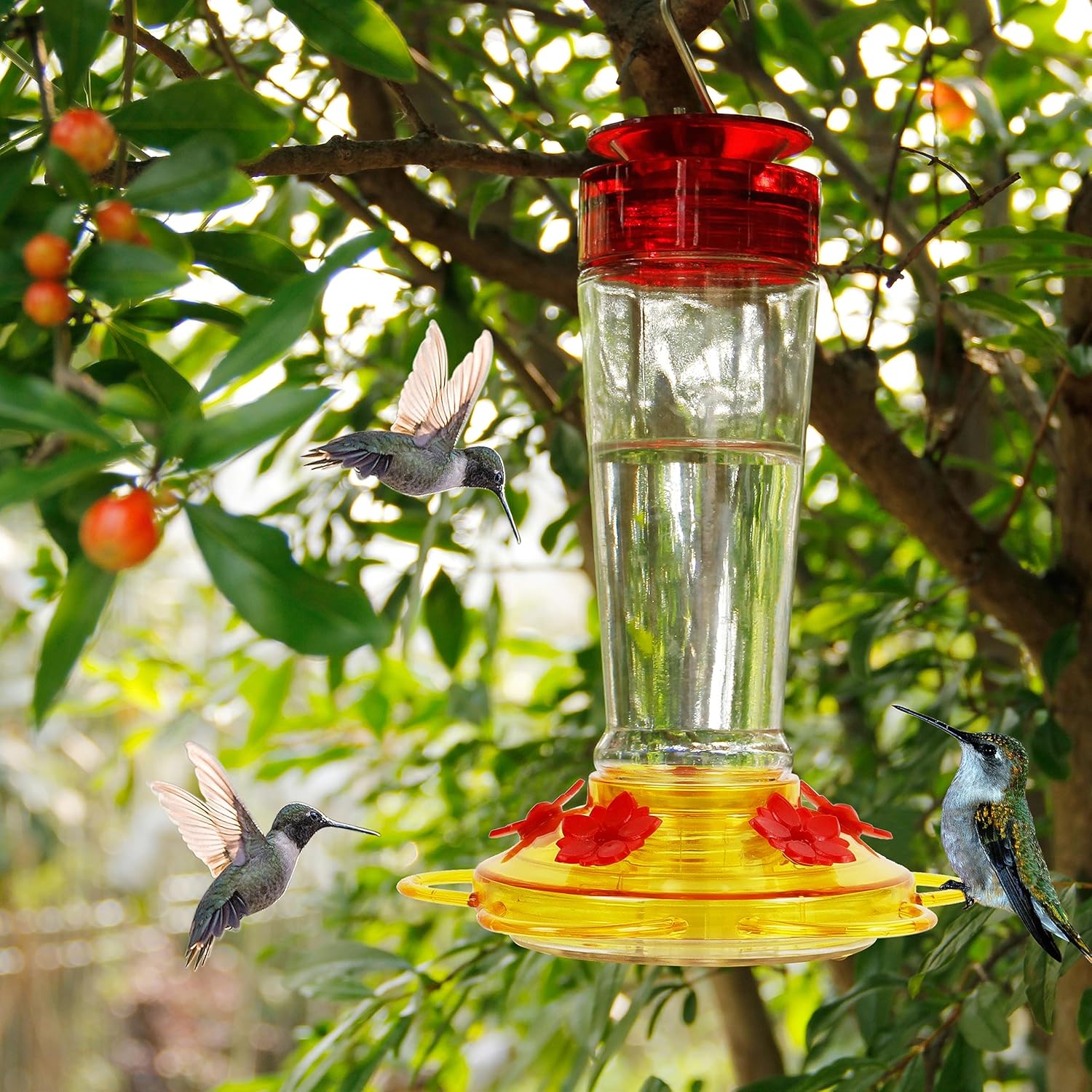 Shrdaepe Hummingbird Feeder, Glass Bottle Bird Feeders, 5 Feeding Port