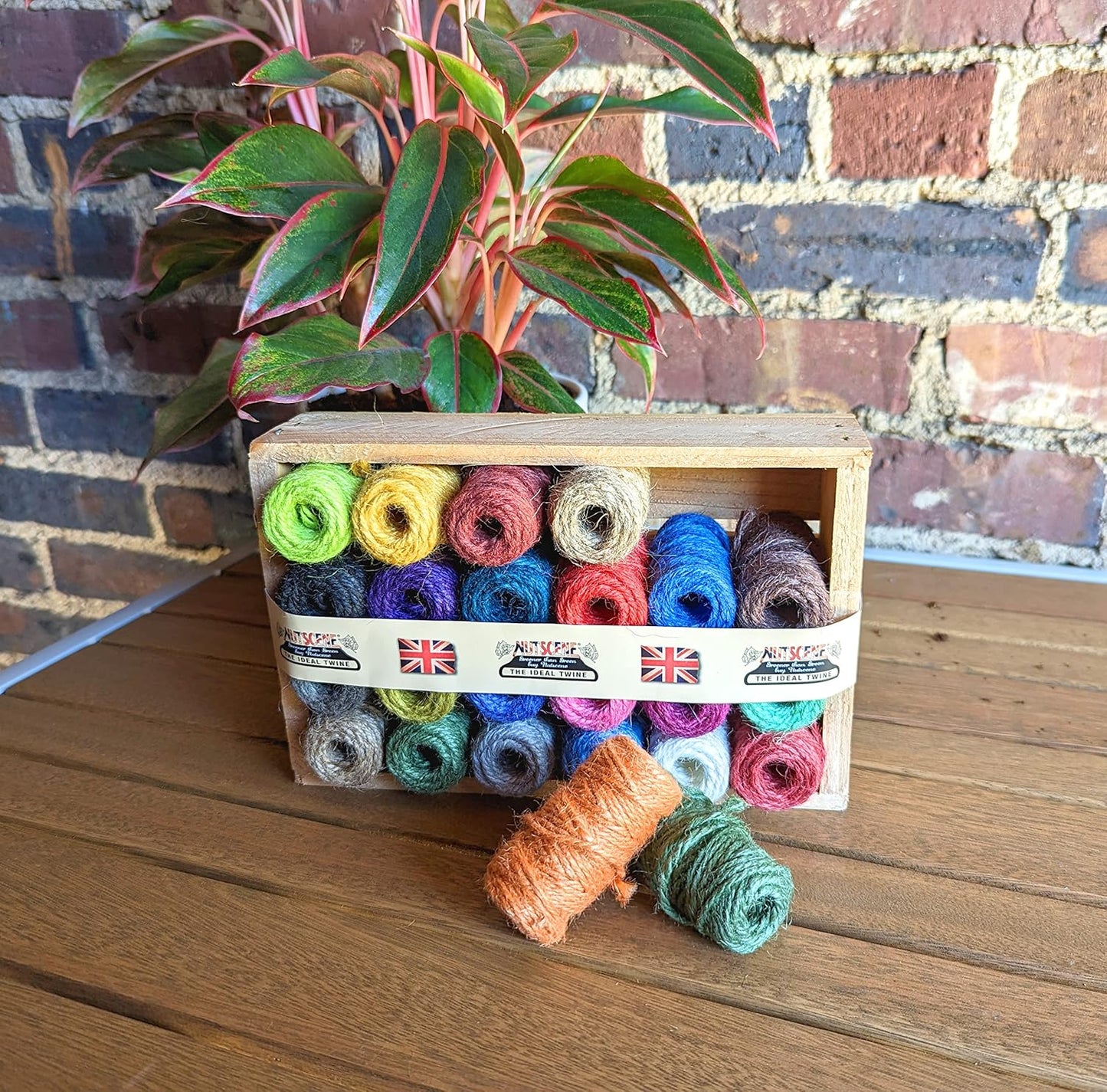 Bosmere K812 Nutscene Wood Crate of 24 Mini Twines Spools