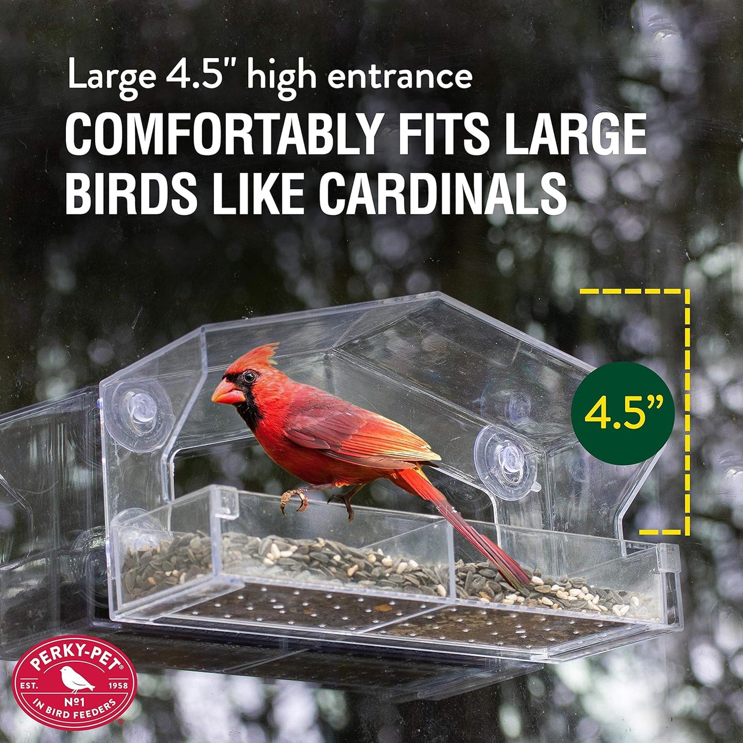 Perky-Pet Clear Outdoor Window Bird Feeder with Strong Suction Cups – 1 Lb Seed Capacity - Perky Pet 347 - Entertaining Bird Feeding - Great Gift Idea, Outdoor Decor