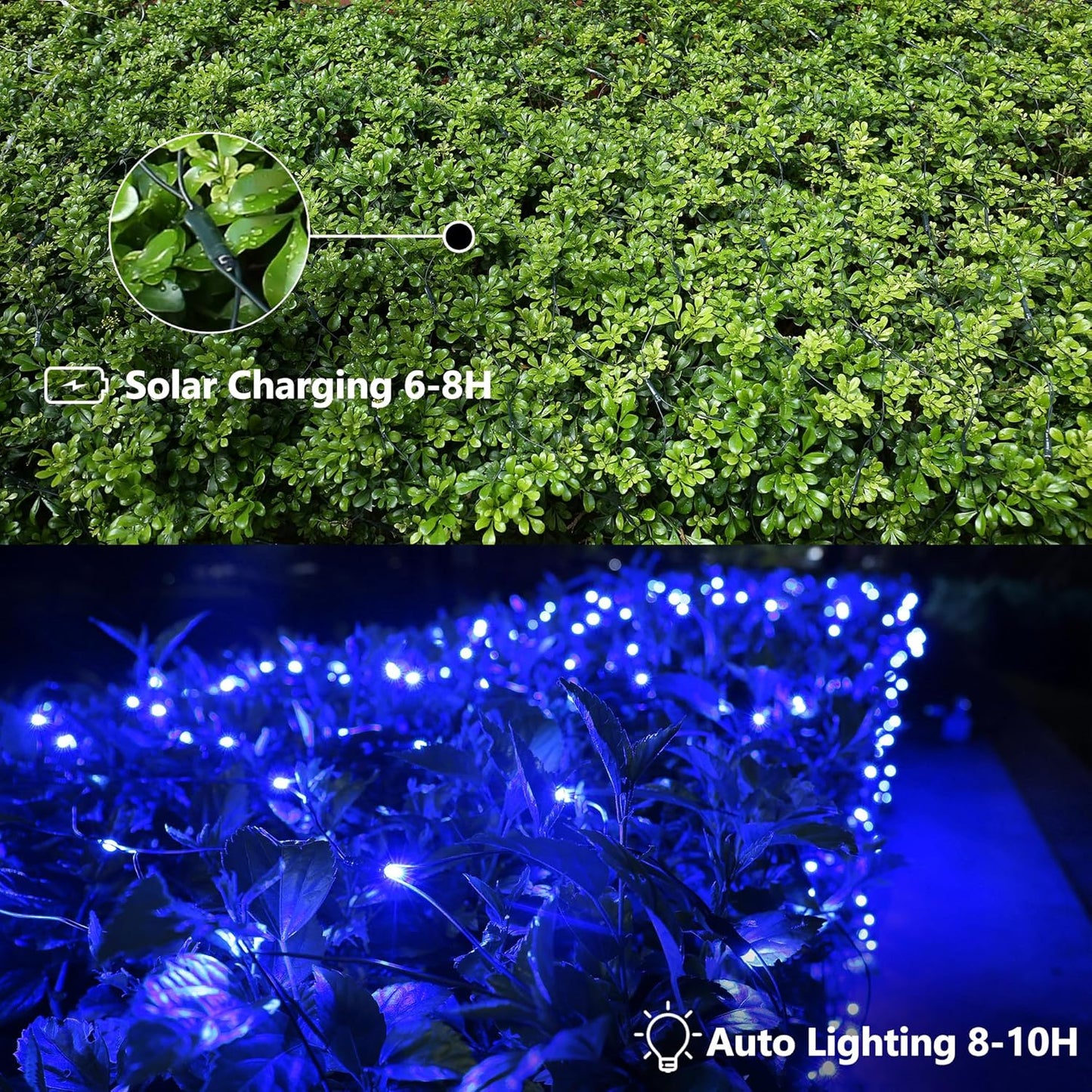 iBaycon 4ft × 6ft Solar Net Mesh Lights, Solar Powered Christmas Net Light Outdoor Waterproof, 8 Modes Bush Netting Lights for Xmas Trees, Party, Garden, Wedding, Outdoor Decorations (Blue, 2PACK)