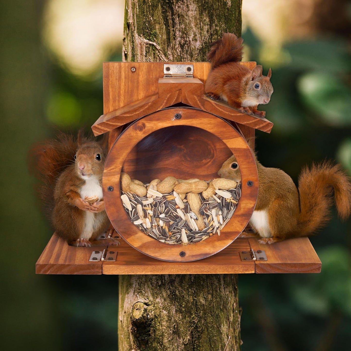 MIXUMON Wood Squirrel Feeder, Squirrel Feeders for Outside Winter, Woo