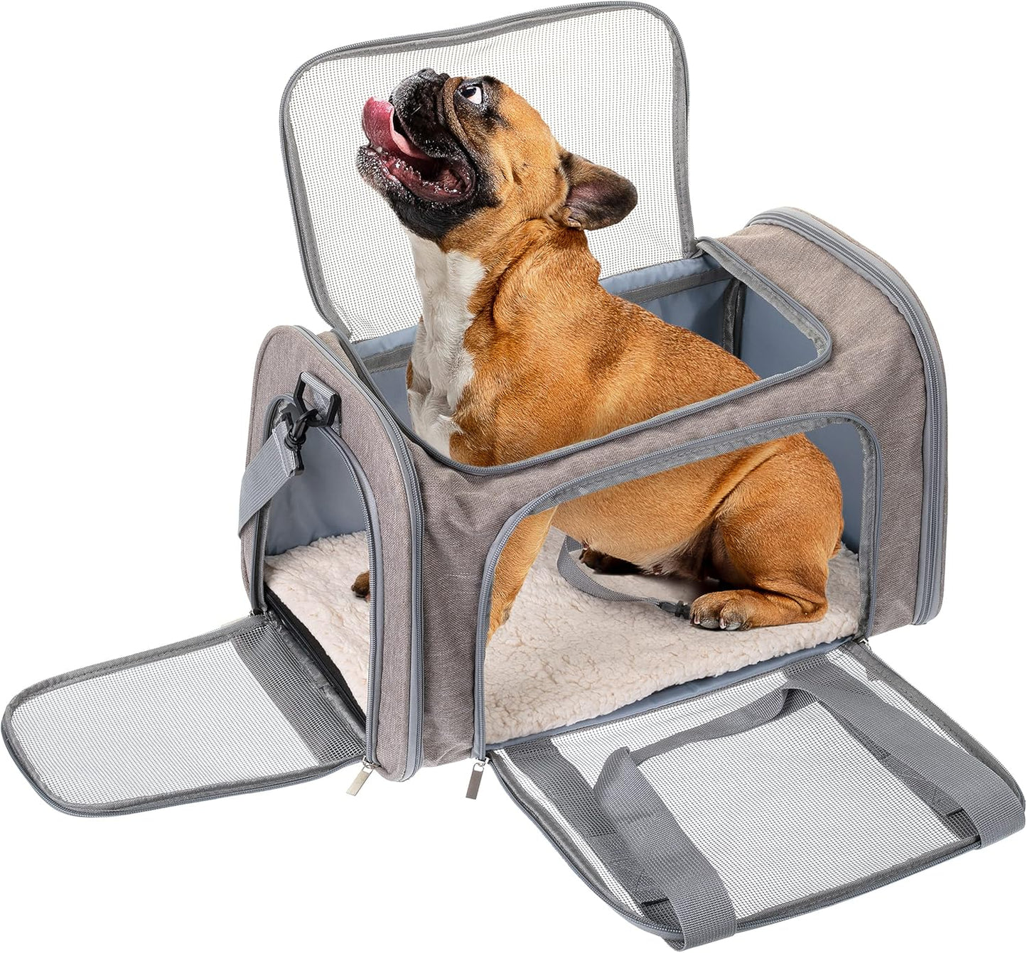 Mr. Pen- Pet Carrier, Cat Carrier, Dog Carrier, Cat Bag Carrier, Cat T