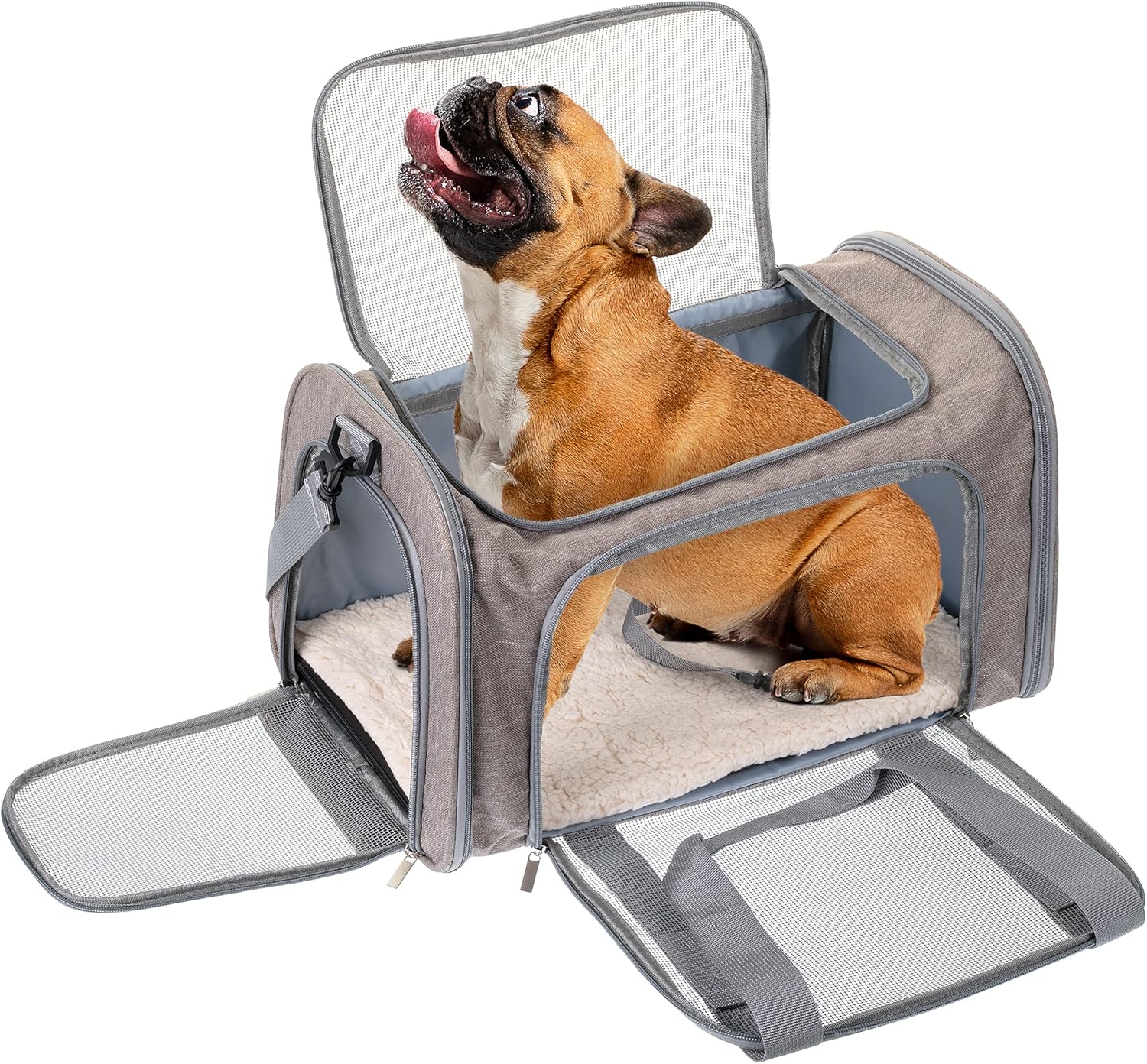 Mr. Pen- Pet Carrier, Cat Carrier, Dog Carrier, Cat Bag Carrier, Cat T