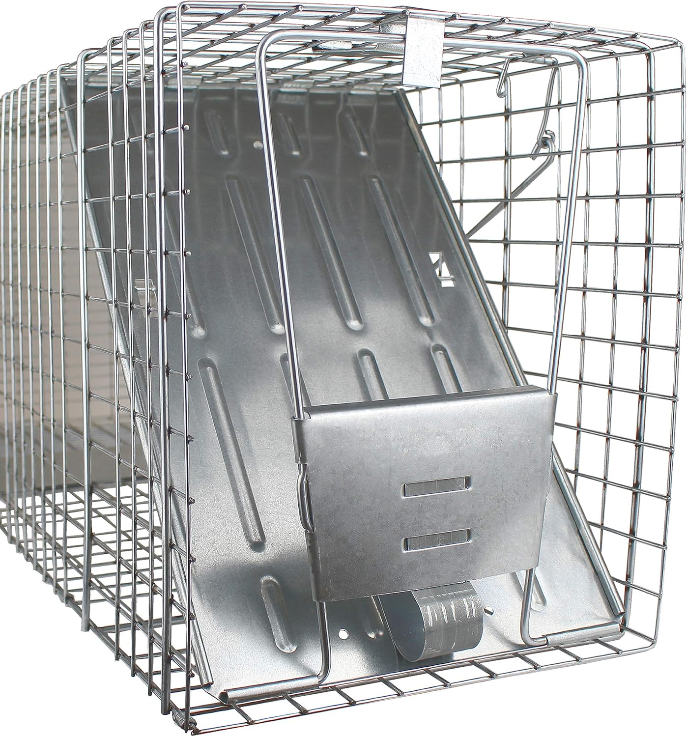 HAVAHART 1079SR Large 1-Door Humane Catch and Release Live Animal Trap Cage - Live Raccoon Trap, for Bobcats, Beavers, Dogs, & More