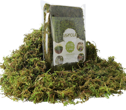 Fake Green Moss for Potted Plants, 4OZ Artificial Moss for DIY Crafts,