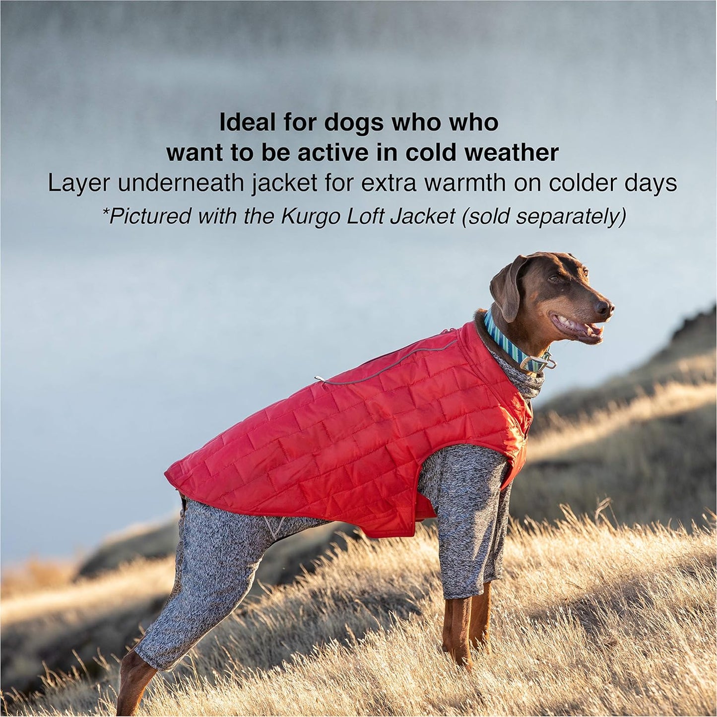 Kurgo Stowe Base Layer - Comfortable, Cold-Weather Pet Wear - Breathab