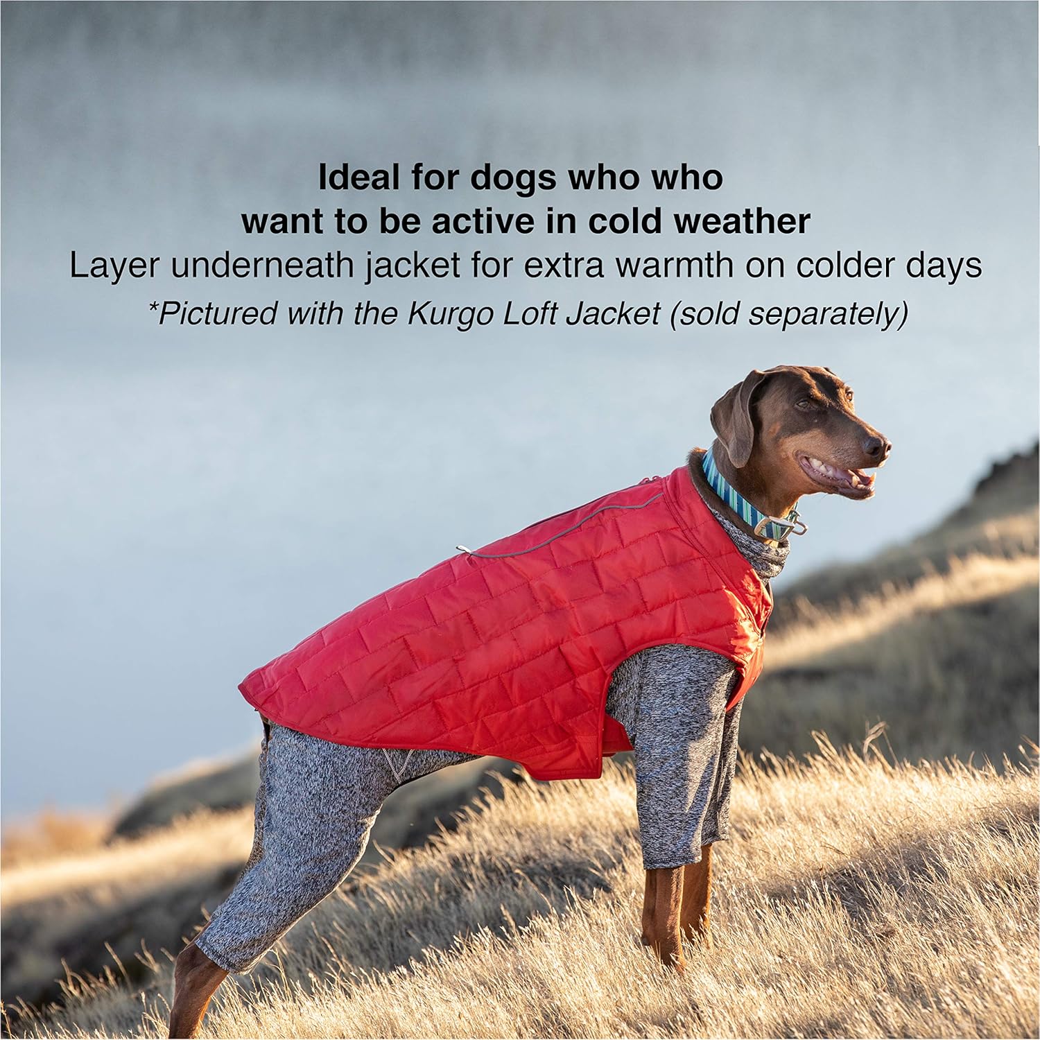Kurgo Stowe Base Layer - Comfortable, Cold-Weather Pet Wear - Breathab