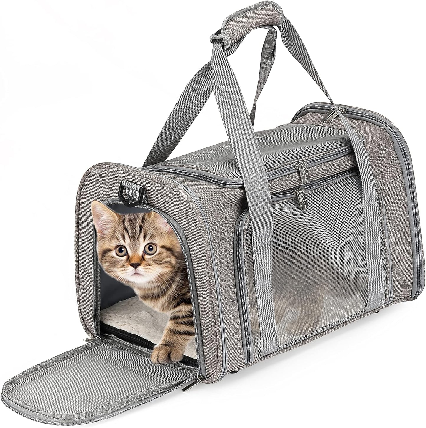 Mr. Pen- Pet Carrier, Cat Carrier, Dog Carrier, Cat Bag Carrier, Cat T