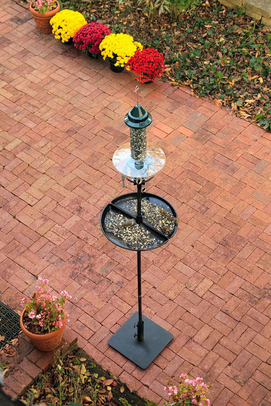 Squirrel Buster Plus Podium, Ultimate Squirrel-Proof Bird Feeding Station, Includes Plus Bird Feeder, Weather Guard, Pole Adaptor, BirdsUP Single Pole and Seed Catcher Tray