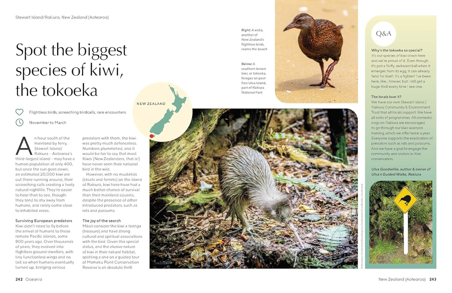 Lonely Planet The Joy of Birdwatching