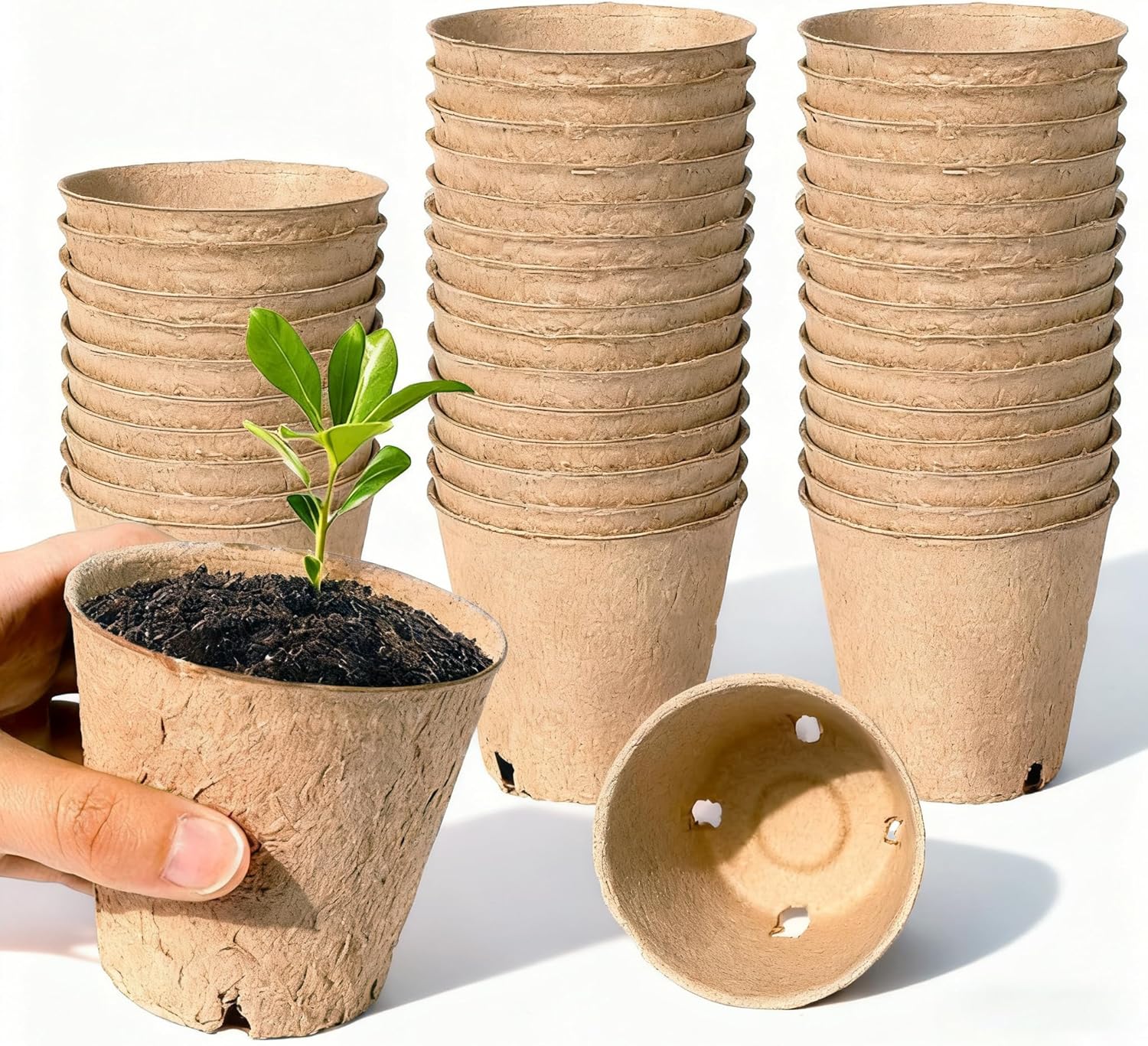 40 Pack Biodegradable Peat Pots with Drainage Holes – 3.15 Inch Organi
