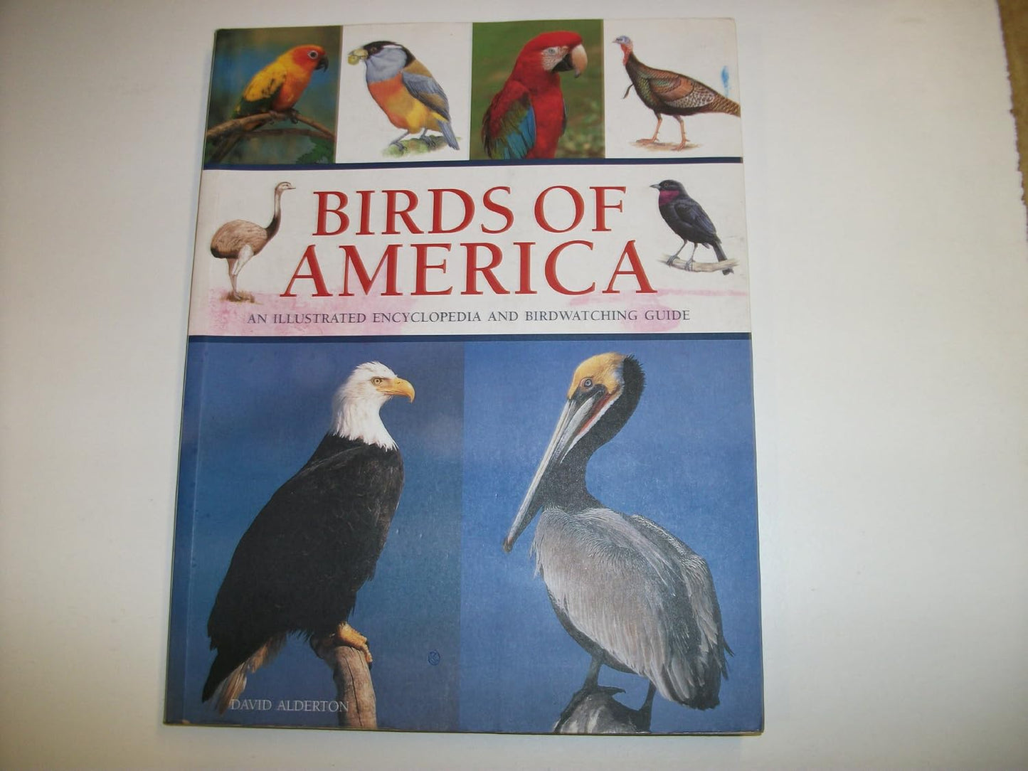 Birds of America