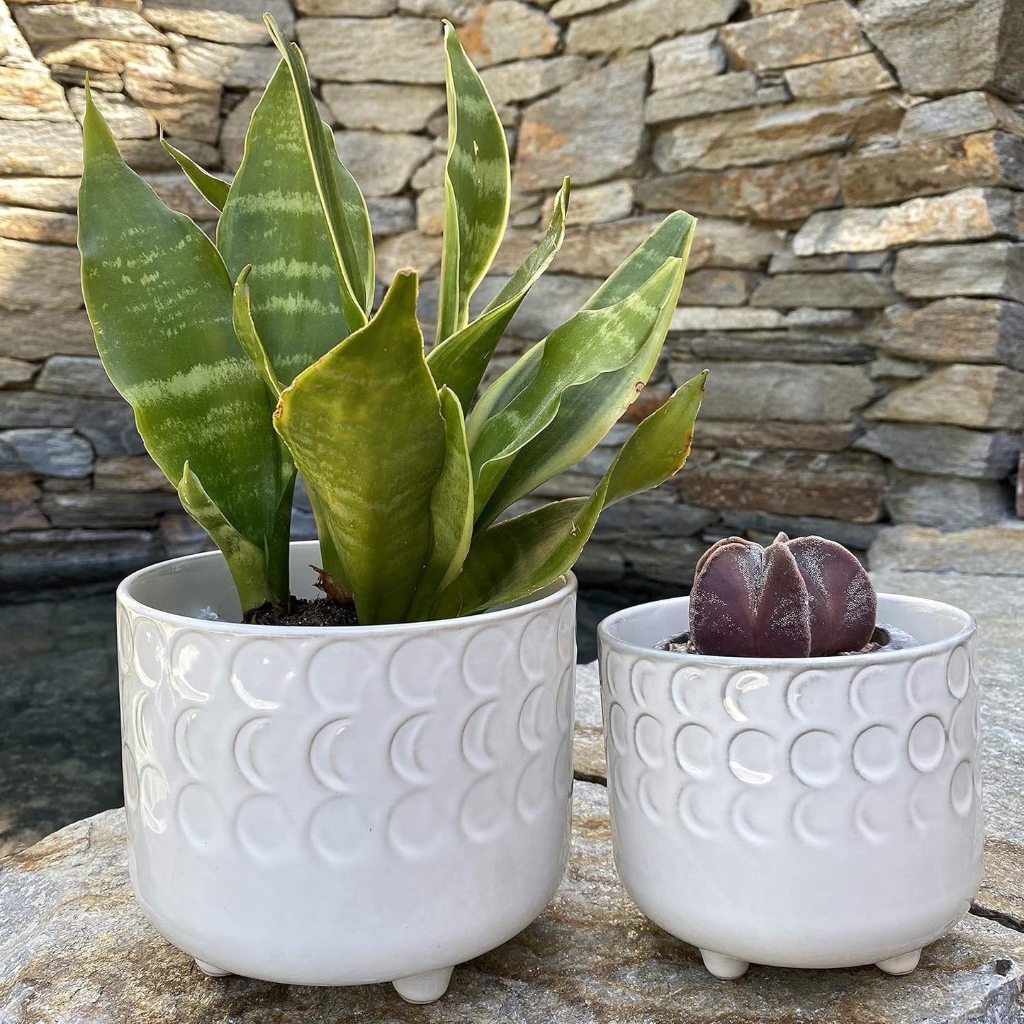Flora Bunda 6 in & 4.75 in Small Moon Phase Ceramic Footed Planter,Set