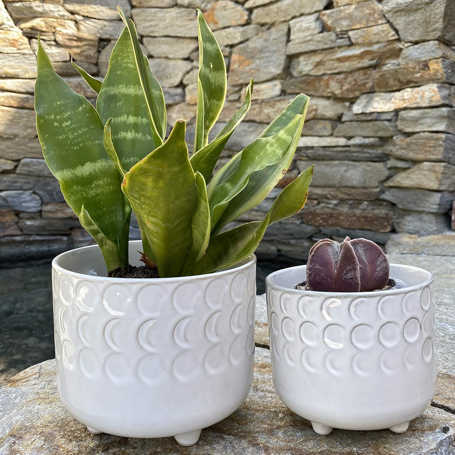 Flora Bunda 6 in & 4.75 in Small Moon Phase Ceramic Footed Planter,Set