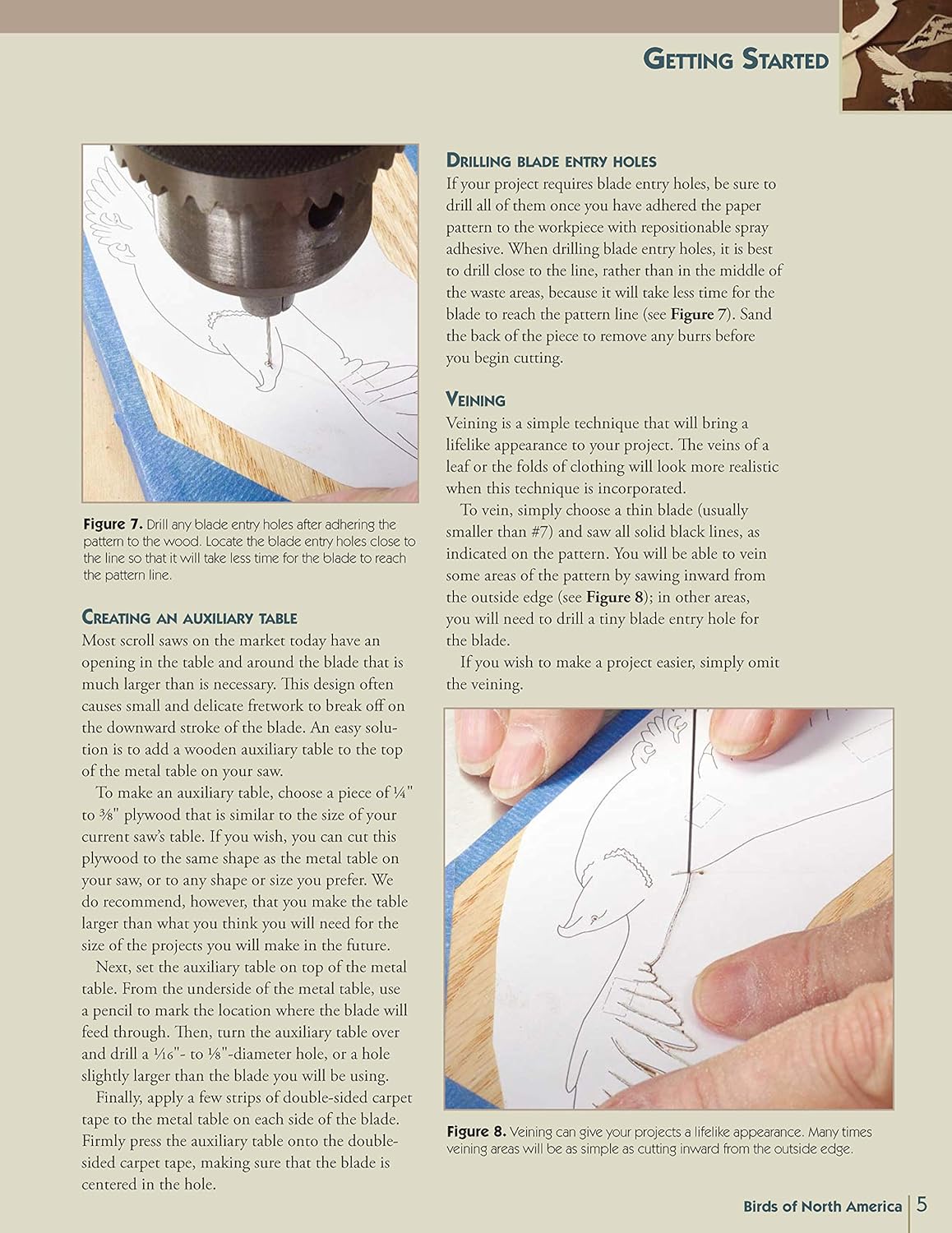 Birds of North America for the Scroll Saw: 25 Projects from the Berry Basket Collection (Fox Chapel Publishing)