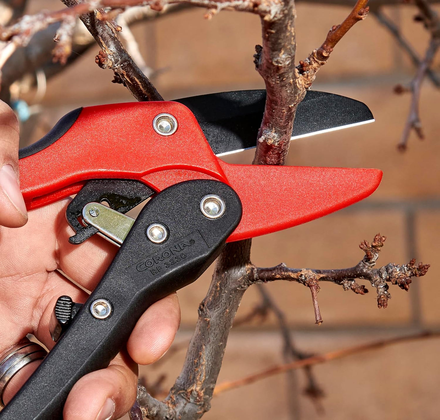 Corona Tools Ratchet Hand Pruner – 3/4-Inch Cut Capacity Garden Pruning Shears for Stems & Branches, Heavy-Duty Ratcheting Hand Pruners with Comfortable Grip