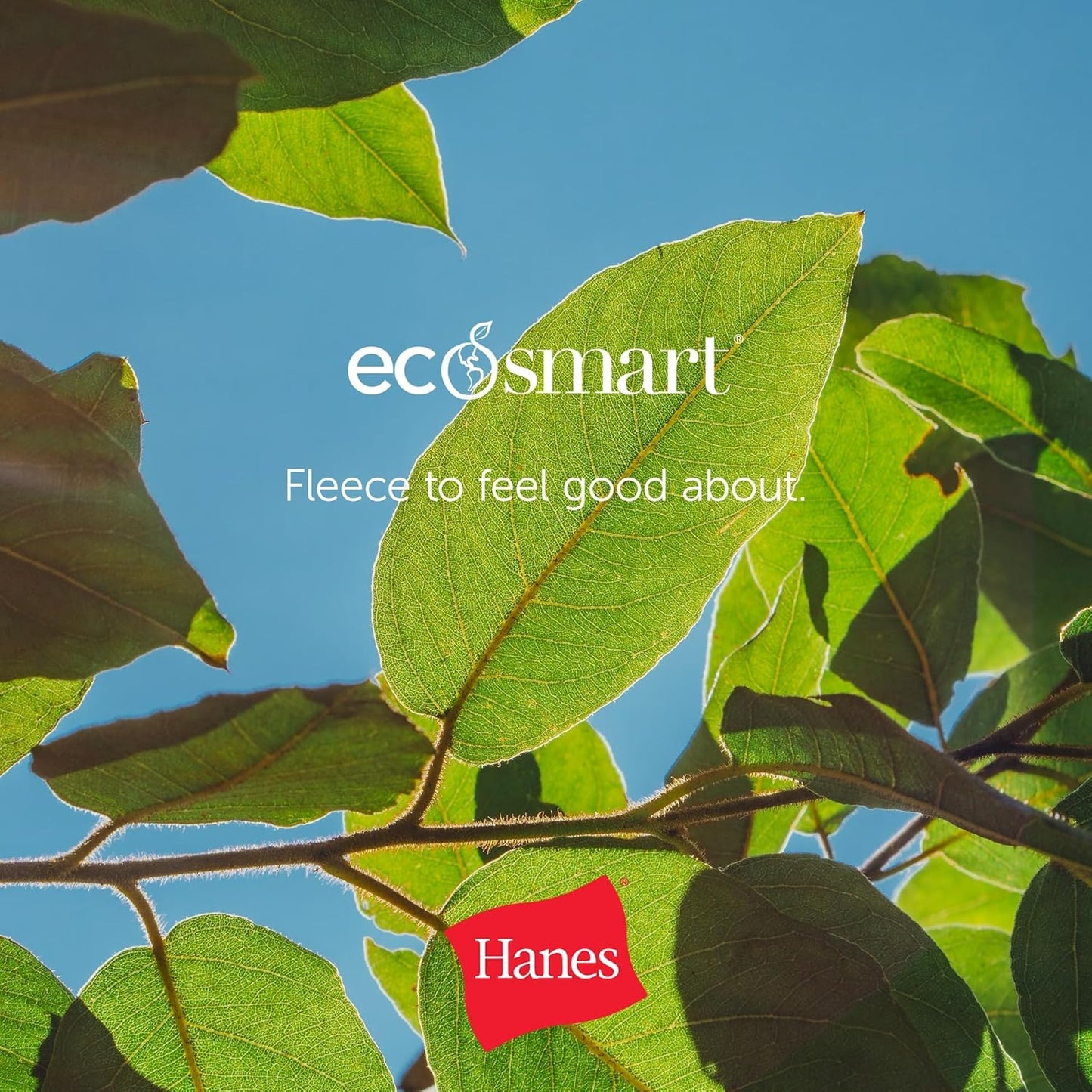 Hanes Men's EcoSmart Hoodie, Midweight Fleece, Pullover Hooded Sweatsh
