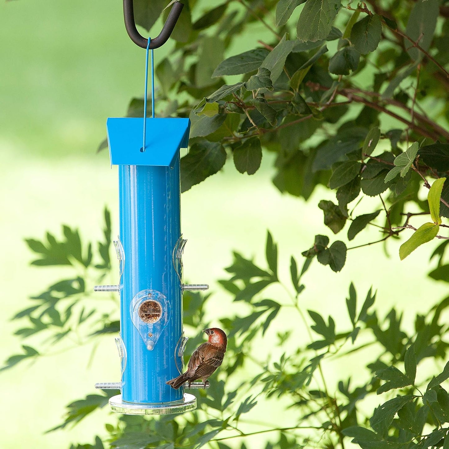 Perky-Pet Blue Metal Tube Wild Bird Feeder - 1 lb Capacity for Wild Bird Seed - Durable Construction - 391