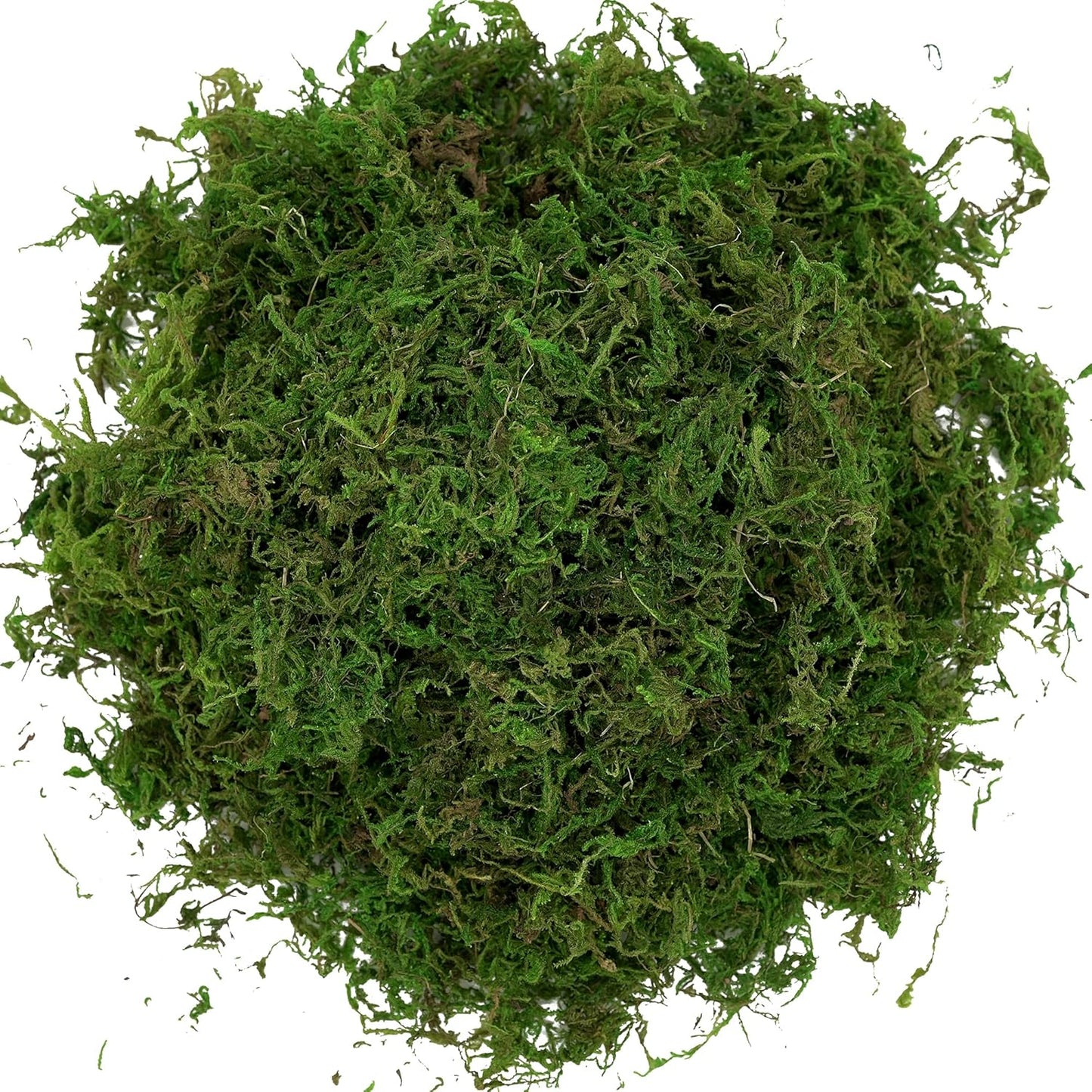 Artificial Moss 16oz – Fake Moss for Crafts, Fairy Gardens, Wedding & 
