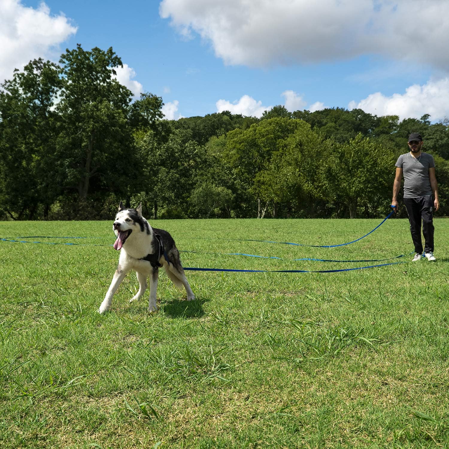 Hi Kiss Dog/Puppy Obedience Recall Training Agility Lead - 15ft 20ft 3
