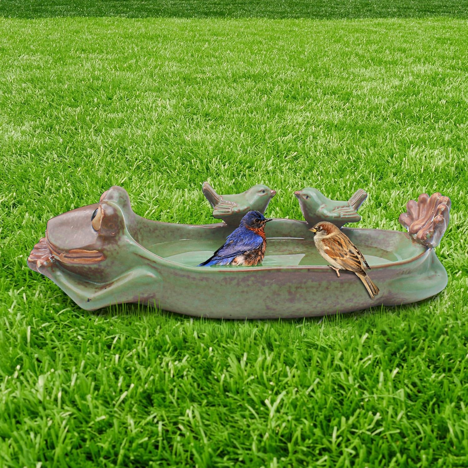 Birdbath Bowl Only, Ceramic Ground Level Bird Baths for Outdoors, Frog