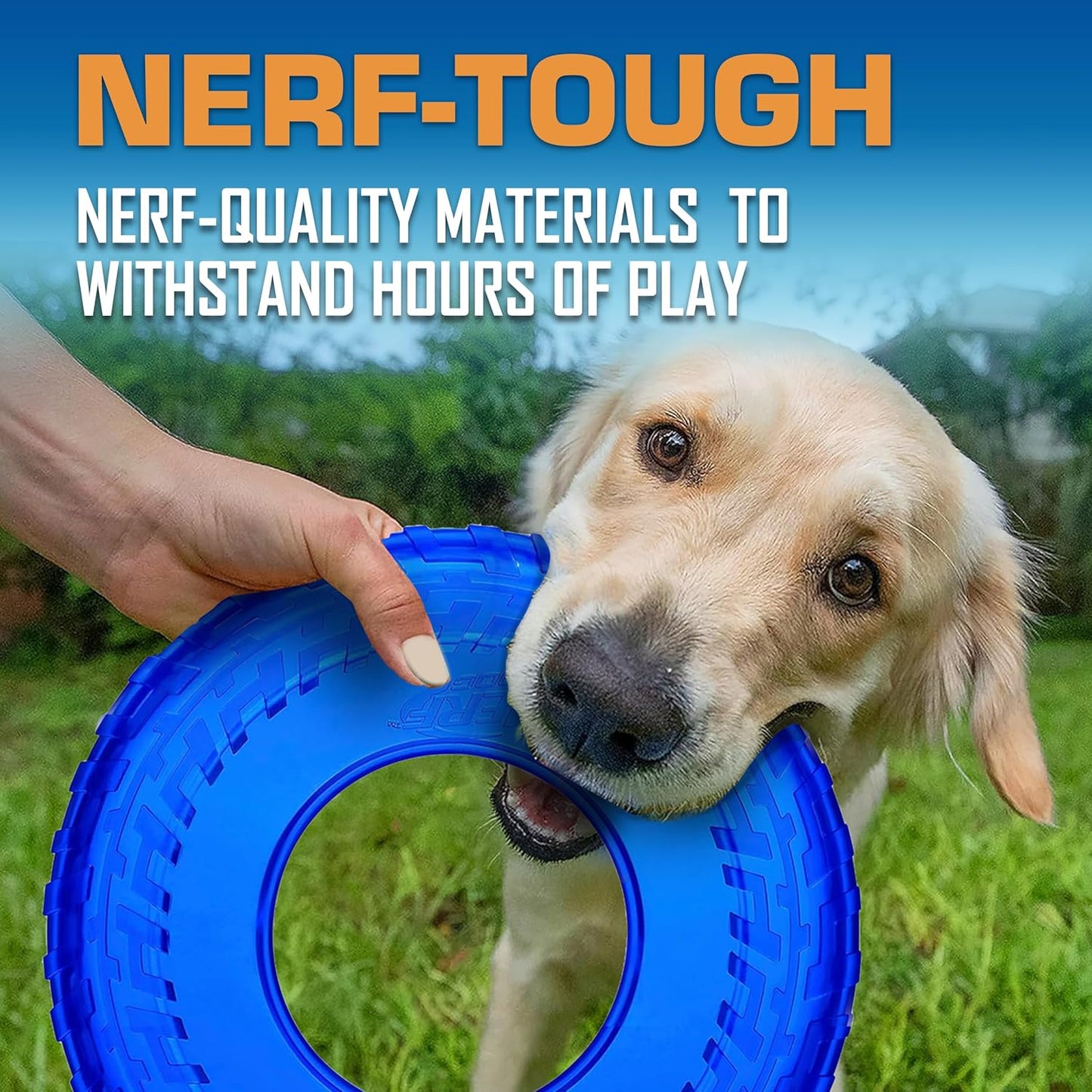 Nerf Dog Tire Flyer Dog Toy Gift Set, 10 Inch Flying Disc Dog Fetch To