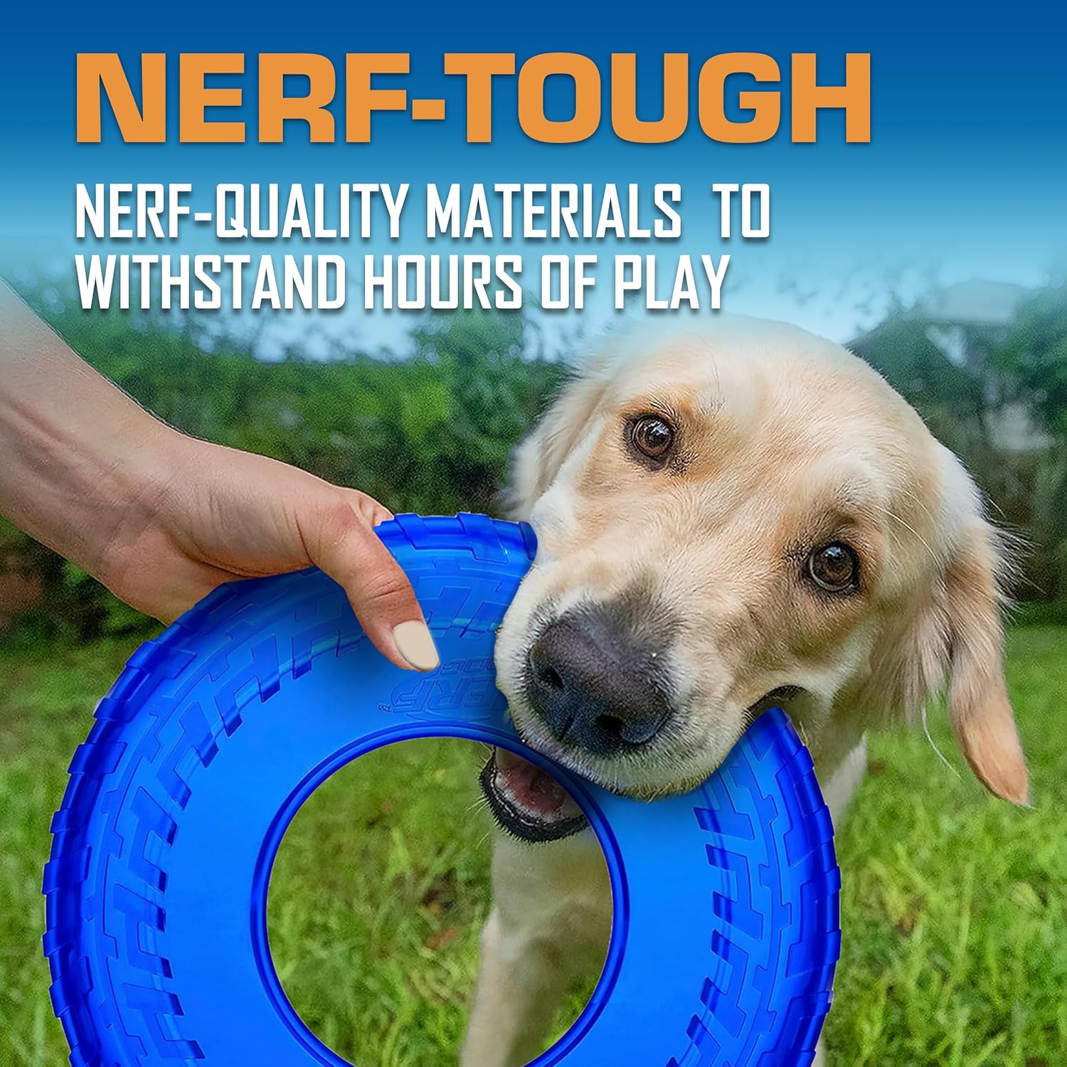 Nerf Dog Tire Flyer Dog Toy Gift Set, 10 Inch Flying Disc Dog Fetch To
