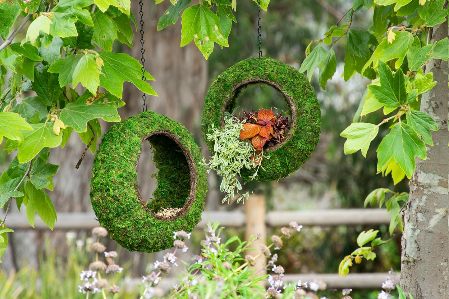 SuperMoss (56904) Sunrise Bird Feeder Hanging Outdoor Décor Handwoven Wicker and Vibrant Green Mountain Moss 12” x 5”