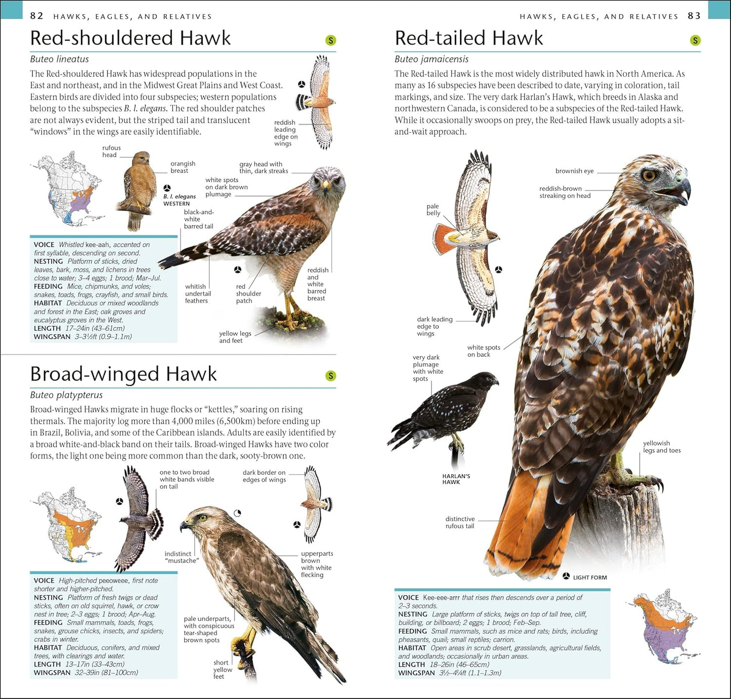 AMNH Pocket Birds of North America Eastern Region (American Museum of Natural History)