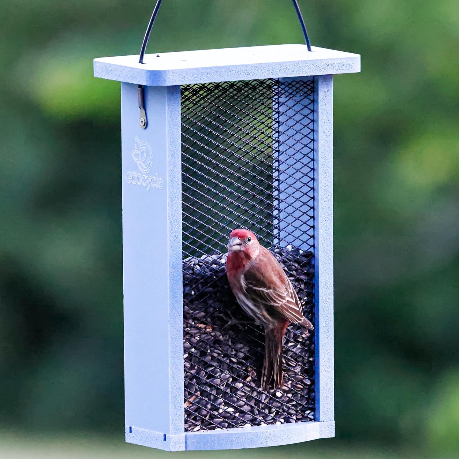 Mesh Morsels Recycled Plastic Mesh Bird Feeder for Wild Birds and Outd