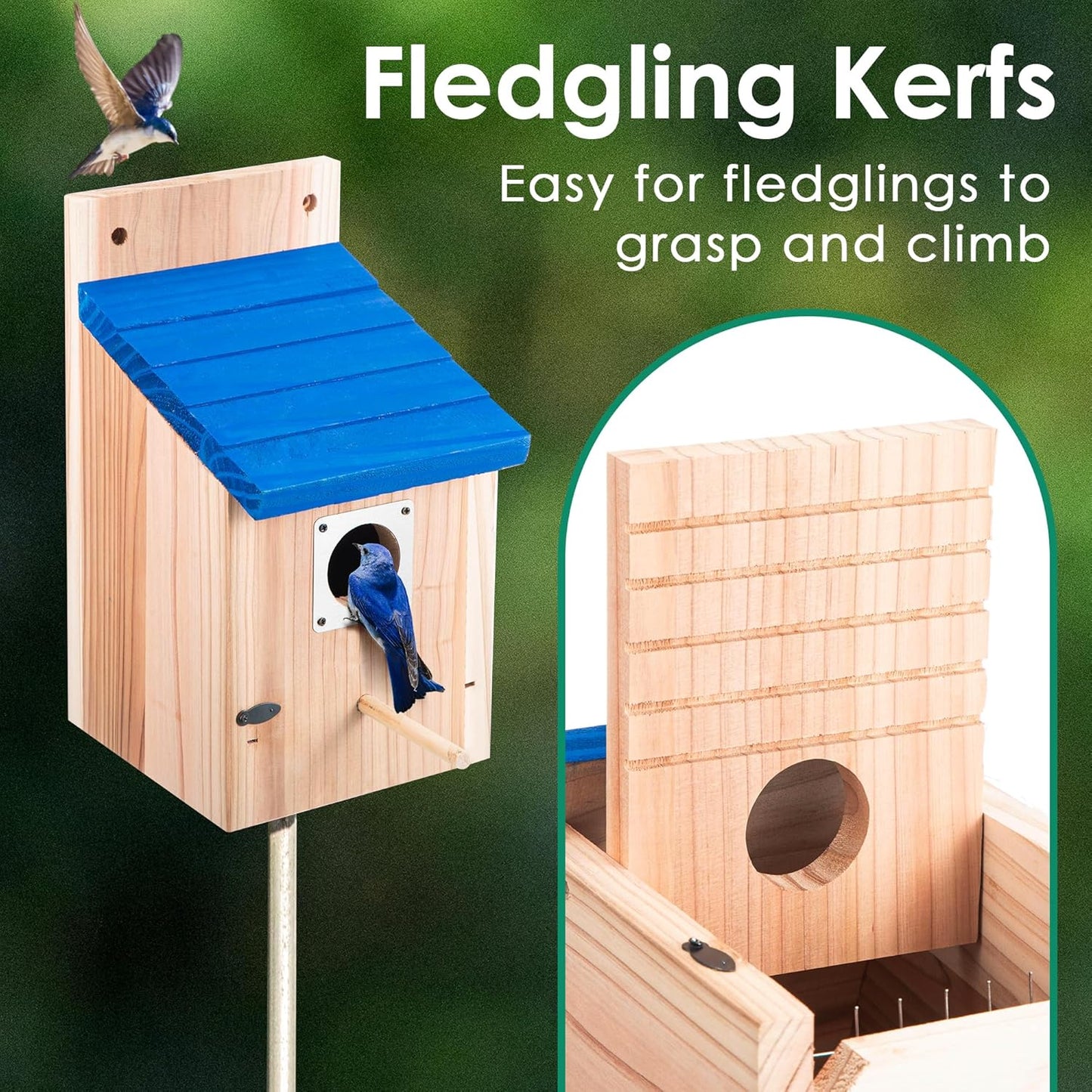 Dreyoo 2 Pack Cedar Bluebird Box Houses for Outside, 1-1/2'' Entrance 