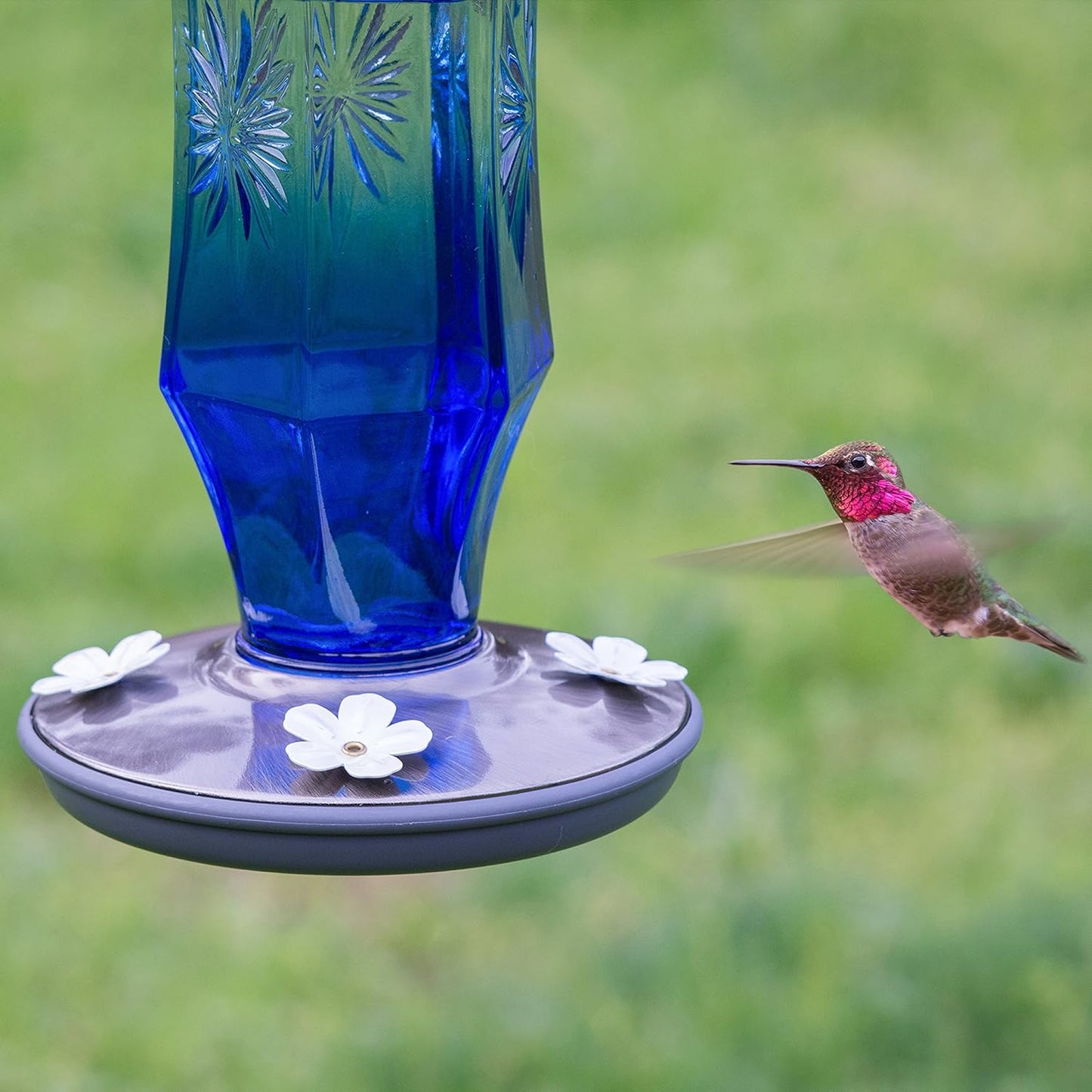 Perky-Pet Sapphire Starburst Vintage Glass Hummingbird Feeder - 16 oz Hummingbird Nectar Capacity, 8129-2 - Hummingbird feeders for outdoors - Blue Humming bird Feeder
