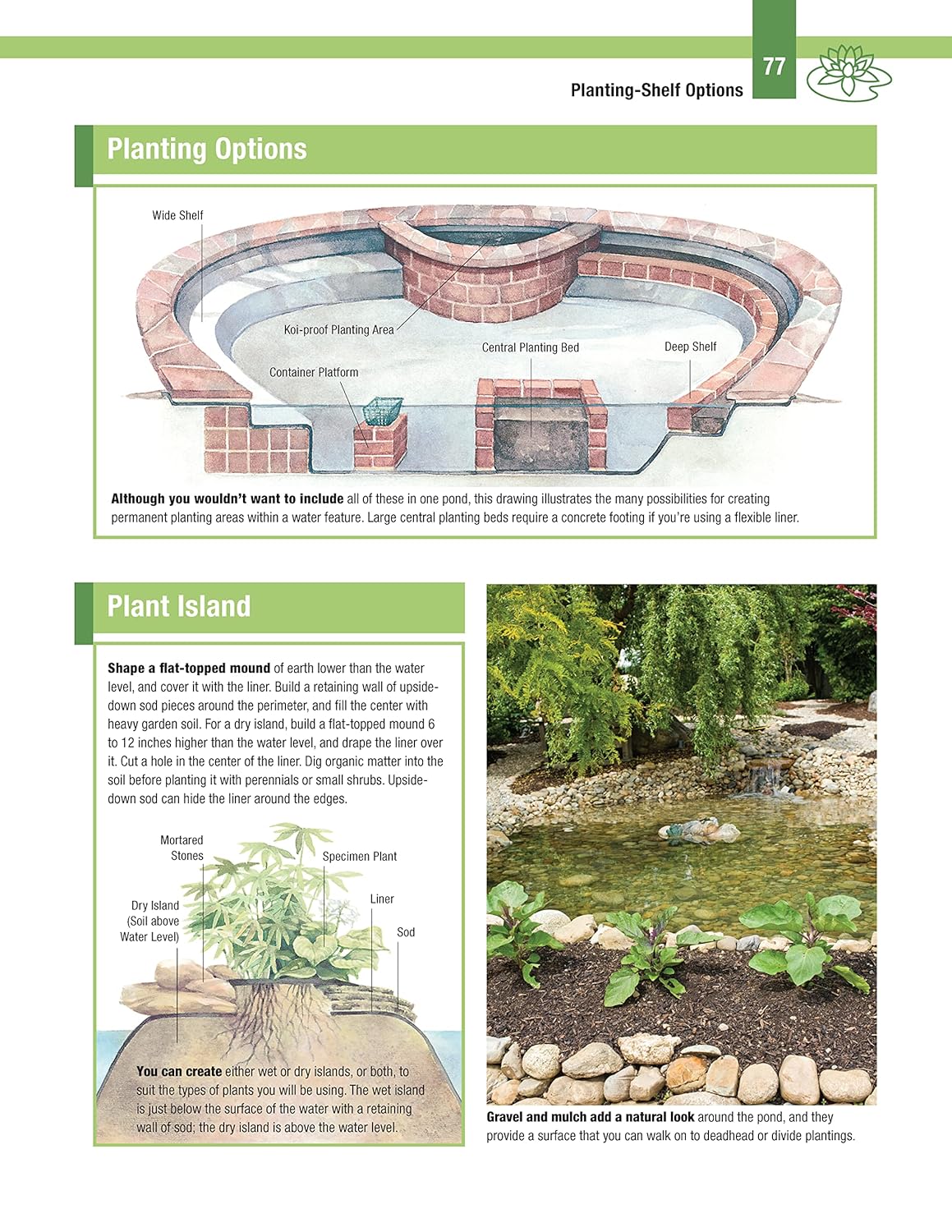DIY Guide to Ponds, Fountains, Rain Gardens & Water Features, Revised 