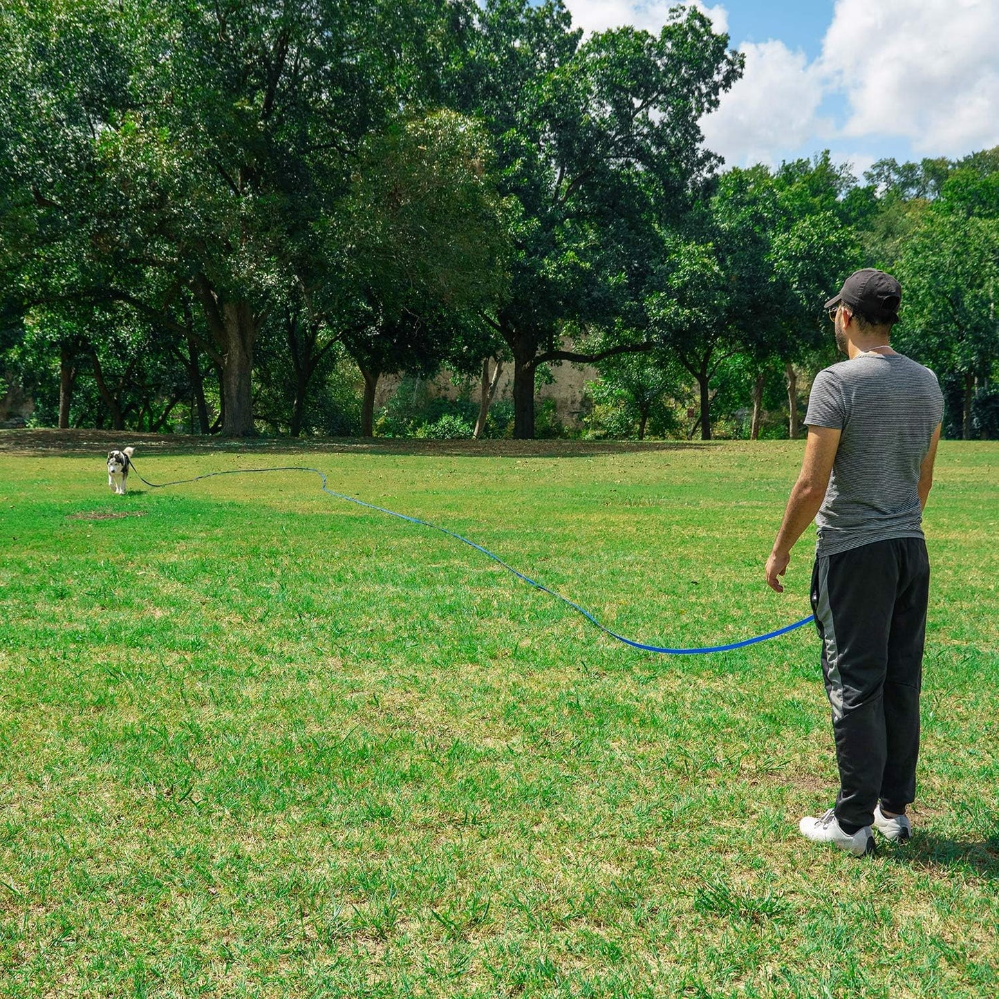 Hi Kiss Dog/Puppy Obedience Recall Training Agility Lead - 15ft 20ft 3